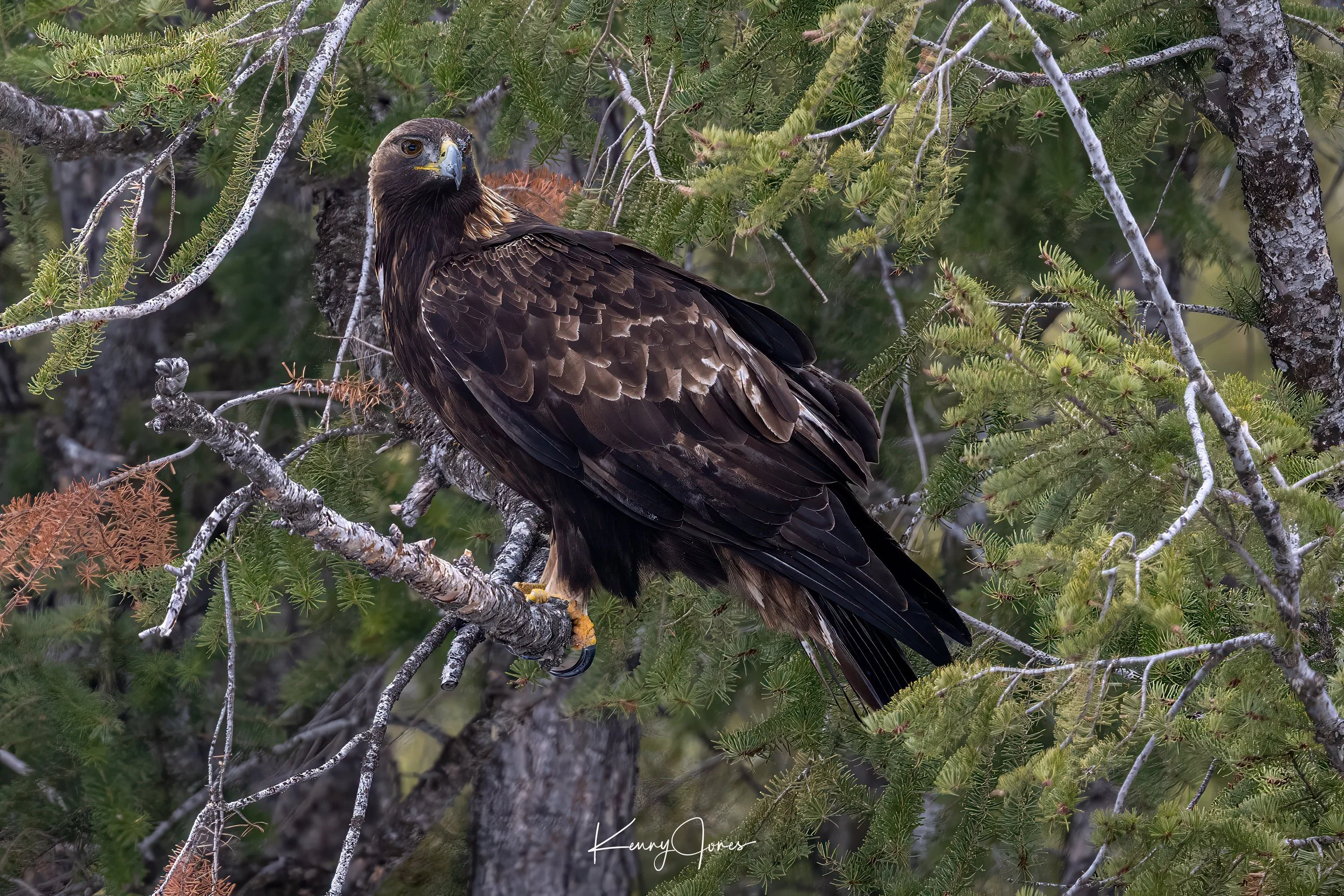 DZ2_0010-Edit.jpg