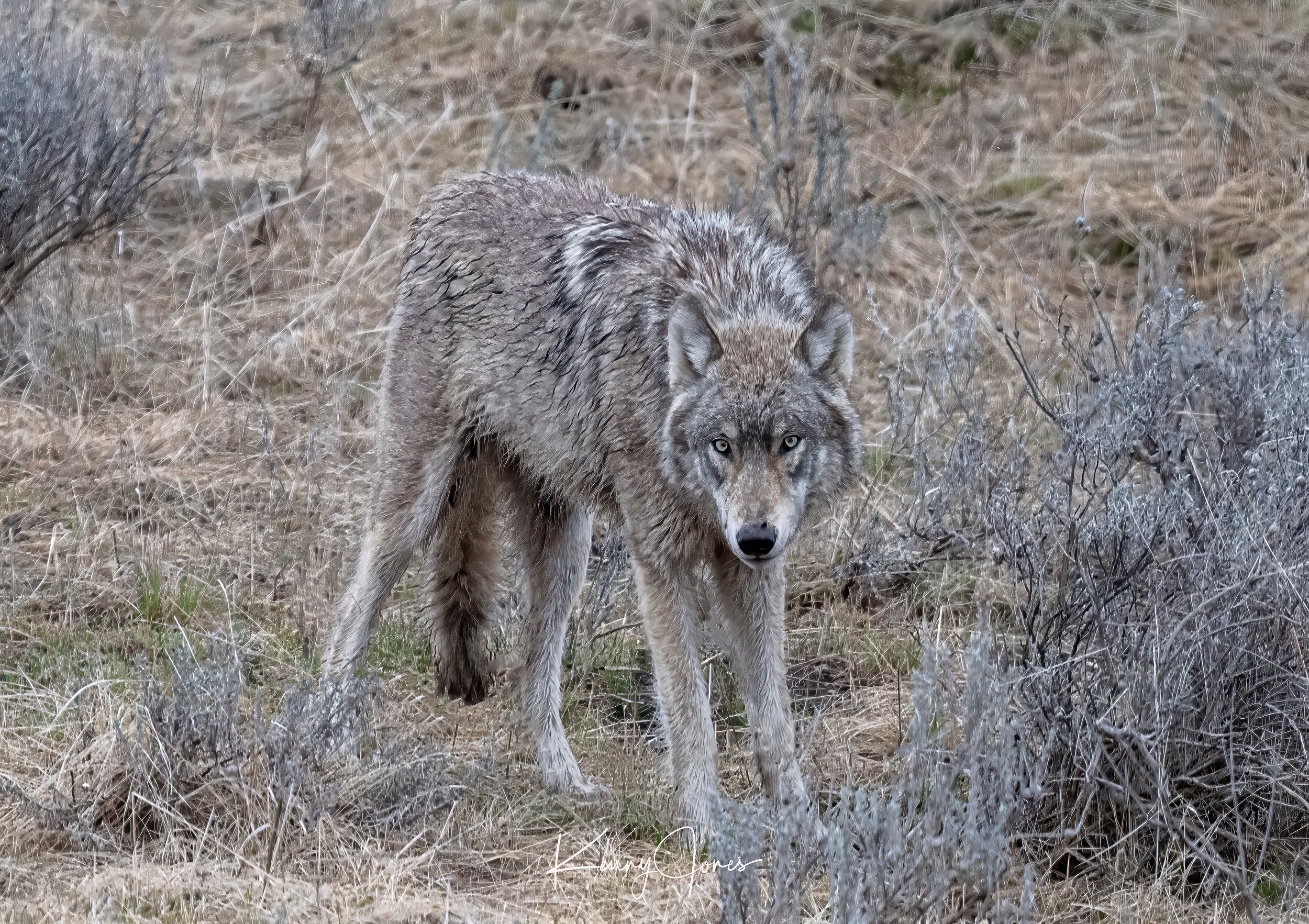 DZ2_2708-Edit.jpg