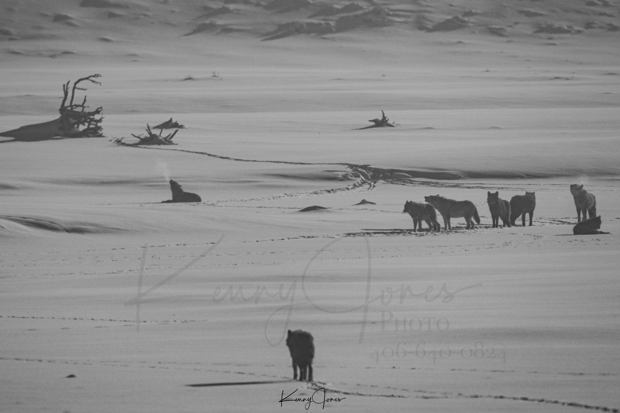 DZ2_3783.jpg