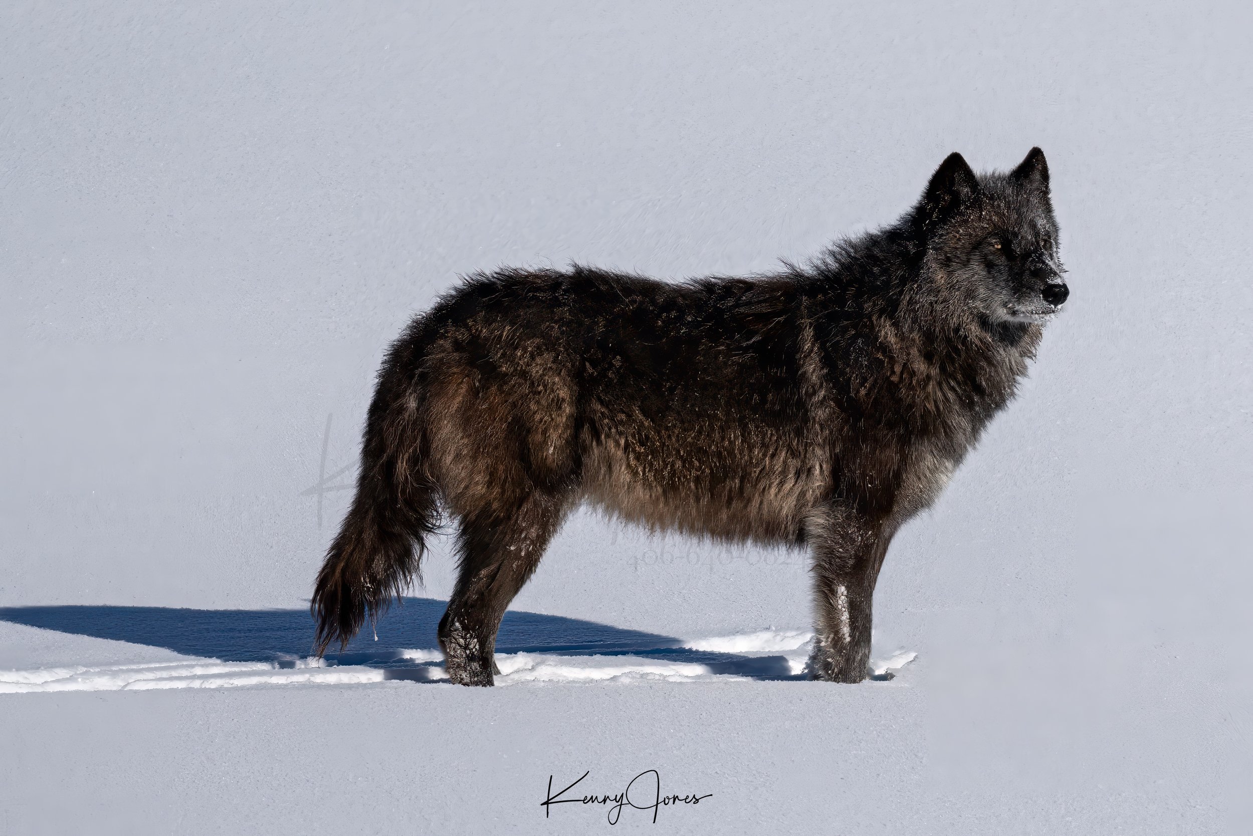 DZ2_4642-Edit.jpg