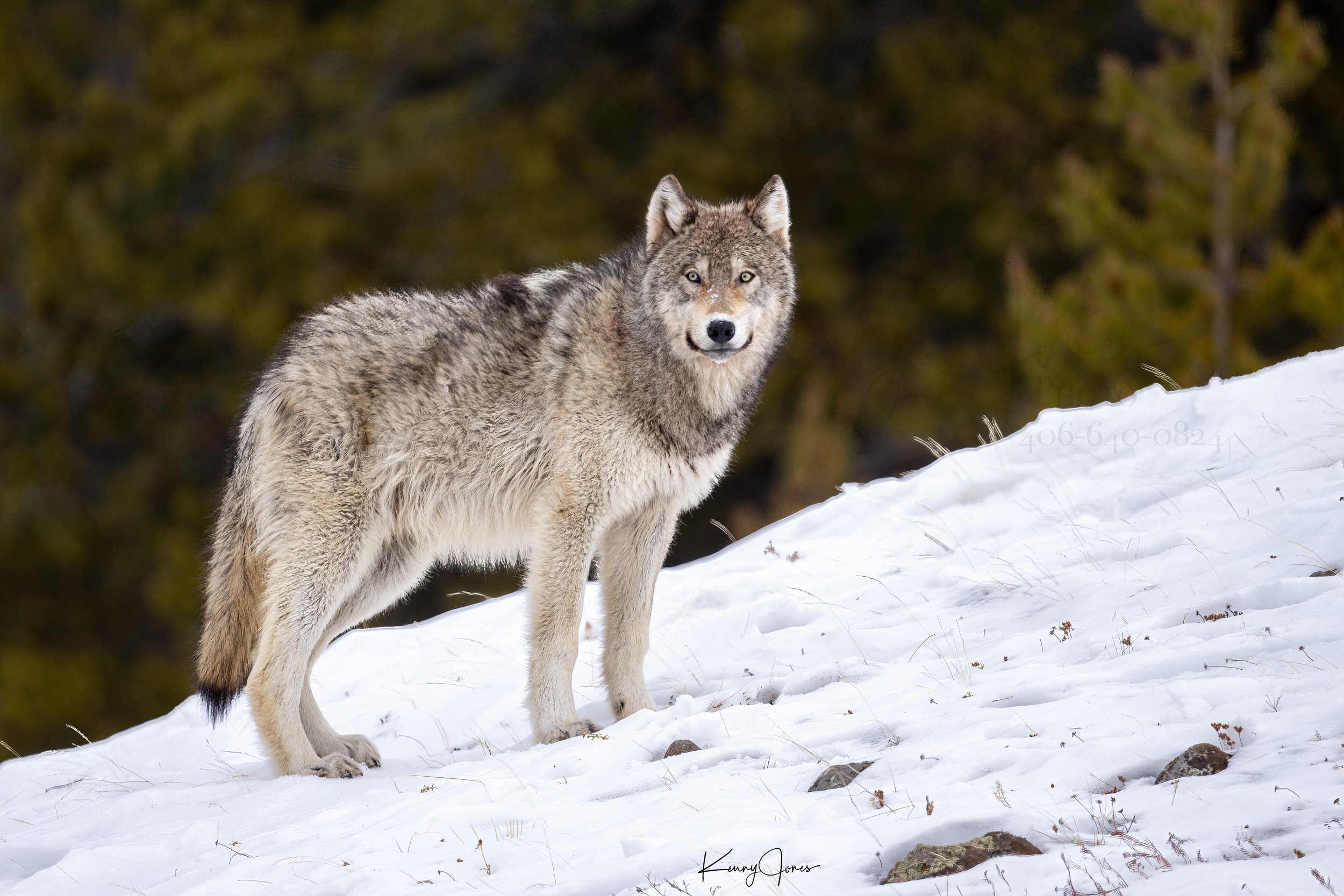 DZ2_5719-Edit.jpg
