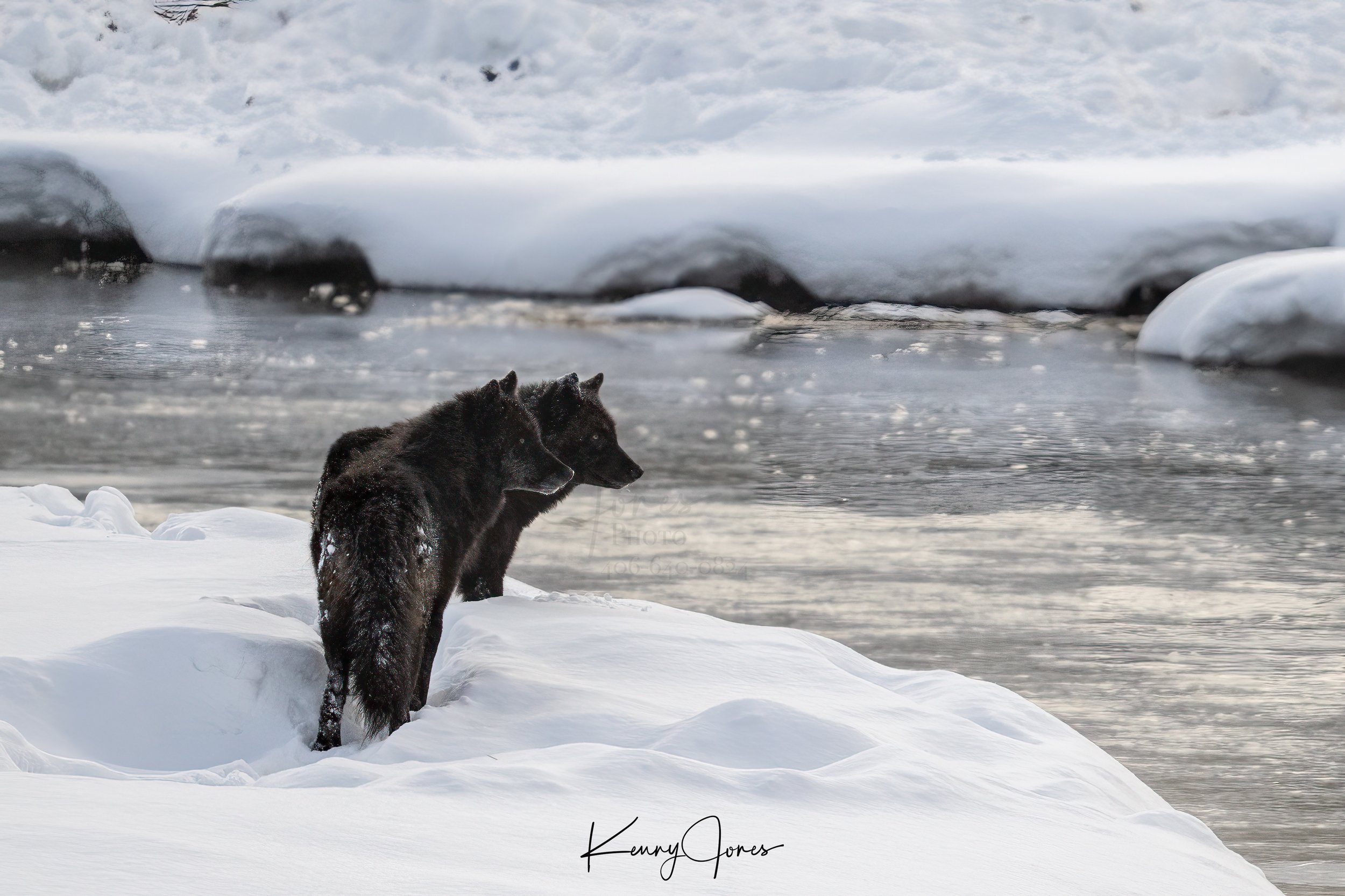 DZ2_8361-Edit.jpg