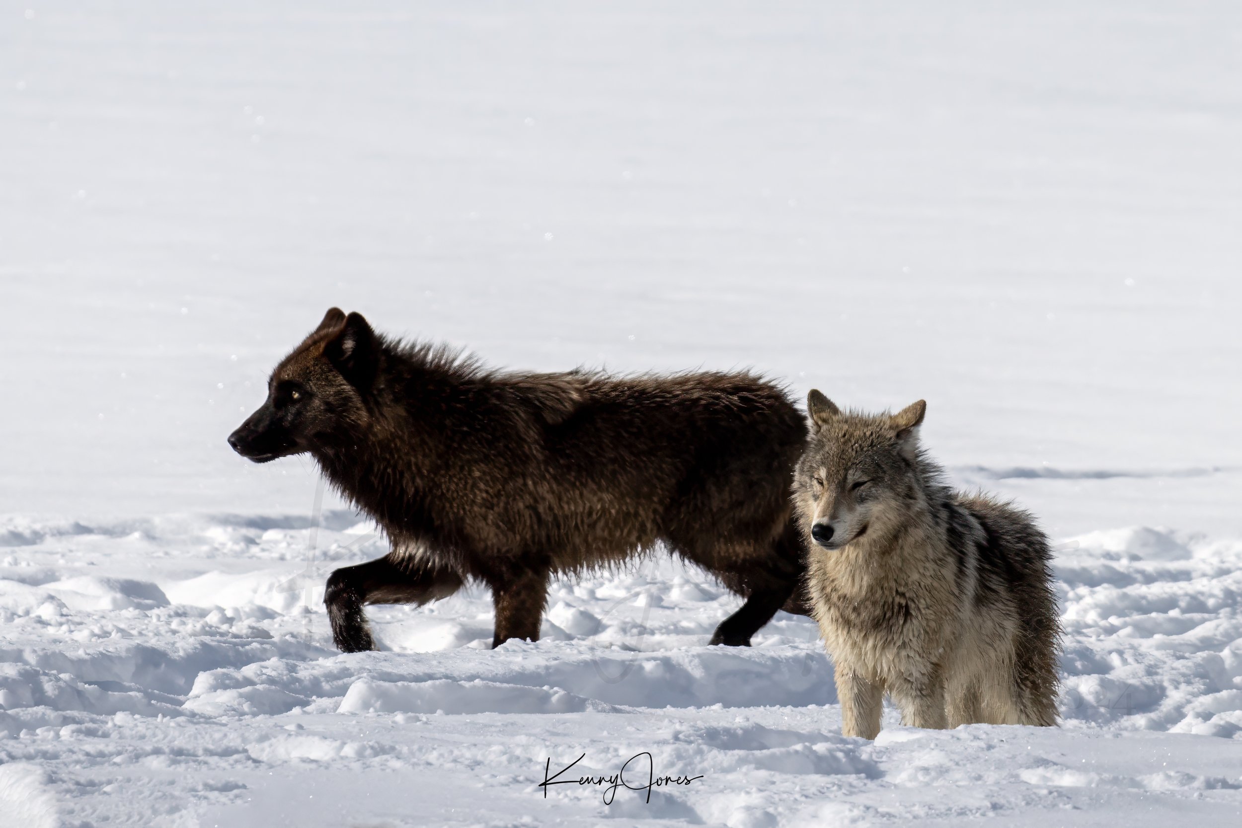 DZ2_9010-Edit.jpg