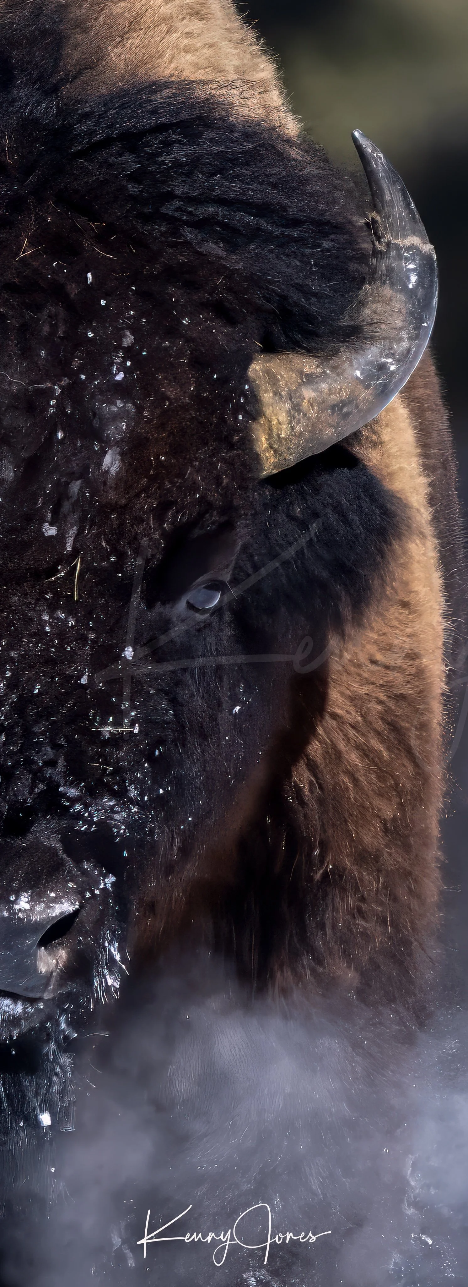 DZ2_1215-Edit-Edit-Edit-Edit-Edit-Edit copy.jpg