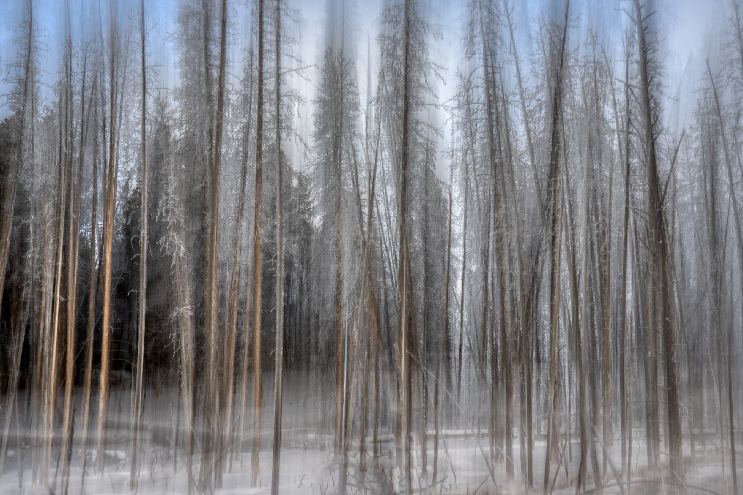 DSC_1080-Edit.jpg