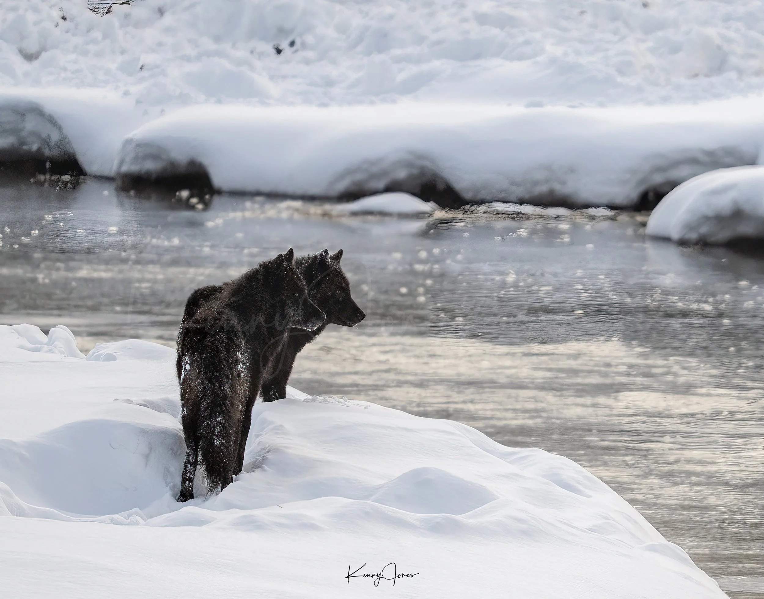 DZ2_9969-Edit.jpg