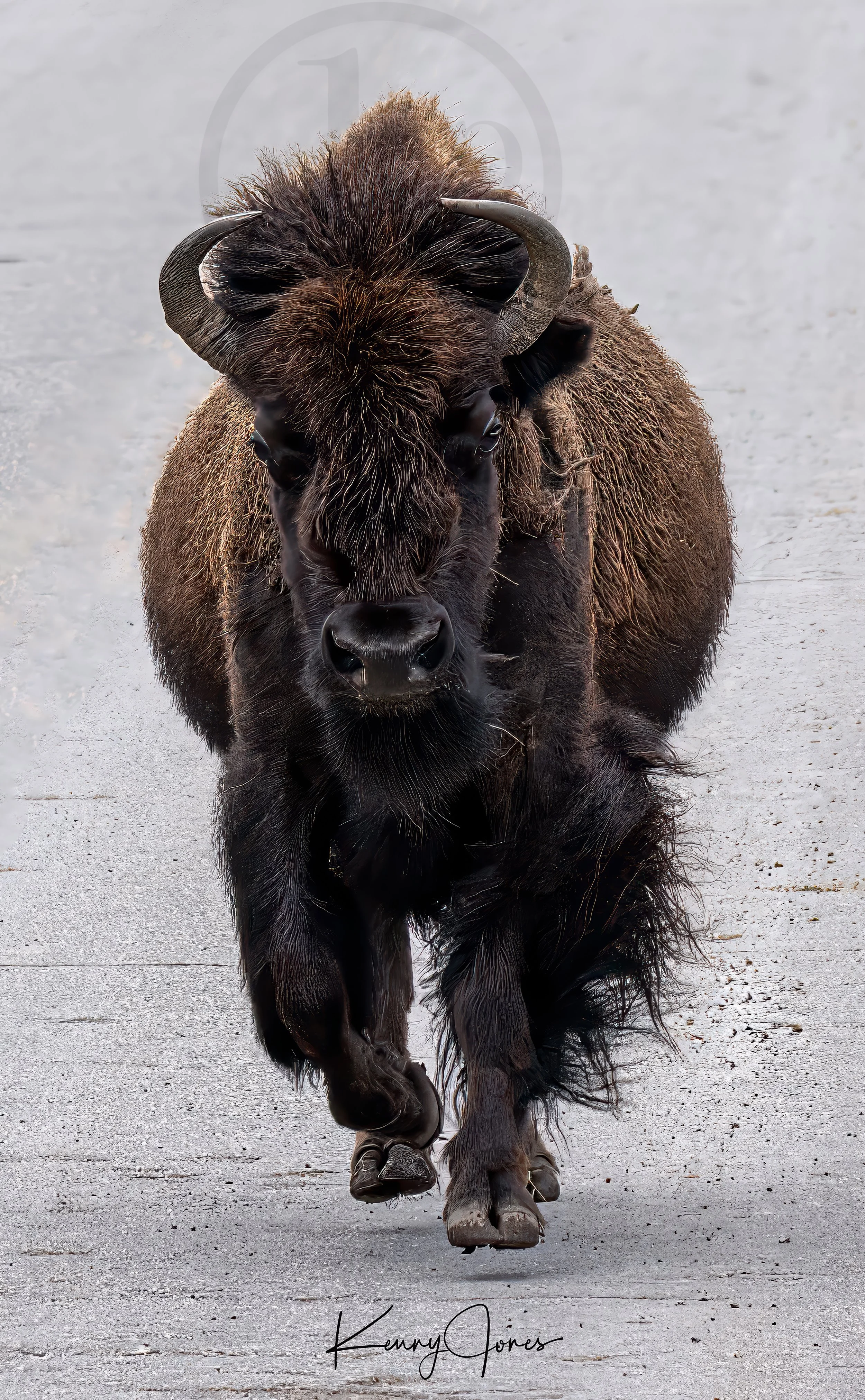 DZ9_2461-Edit-Edit-Edit-Edit copy 2.jpg