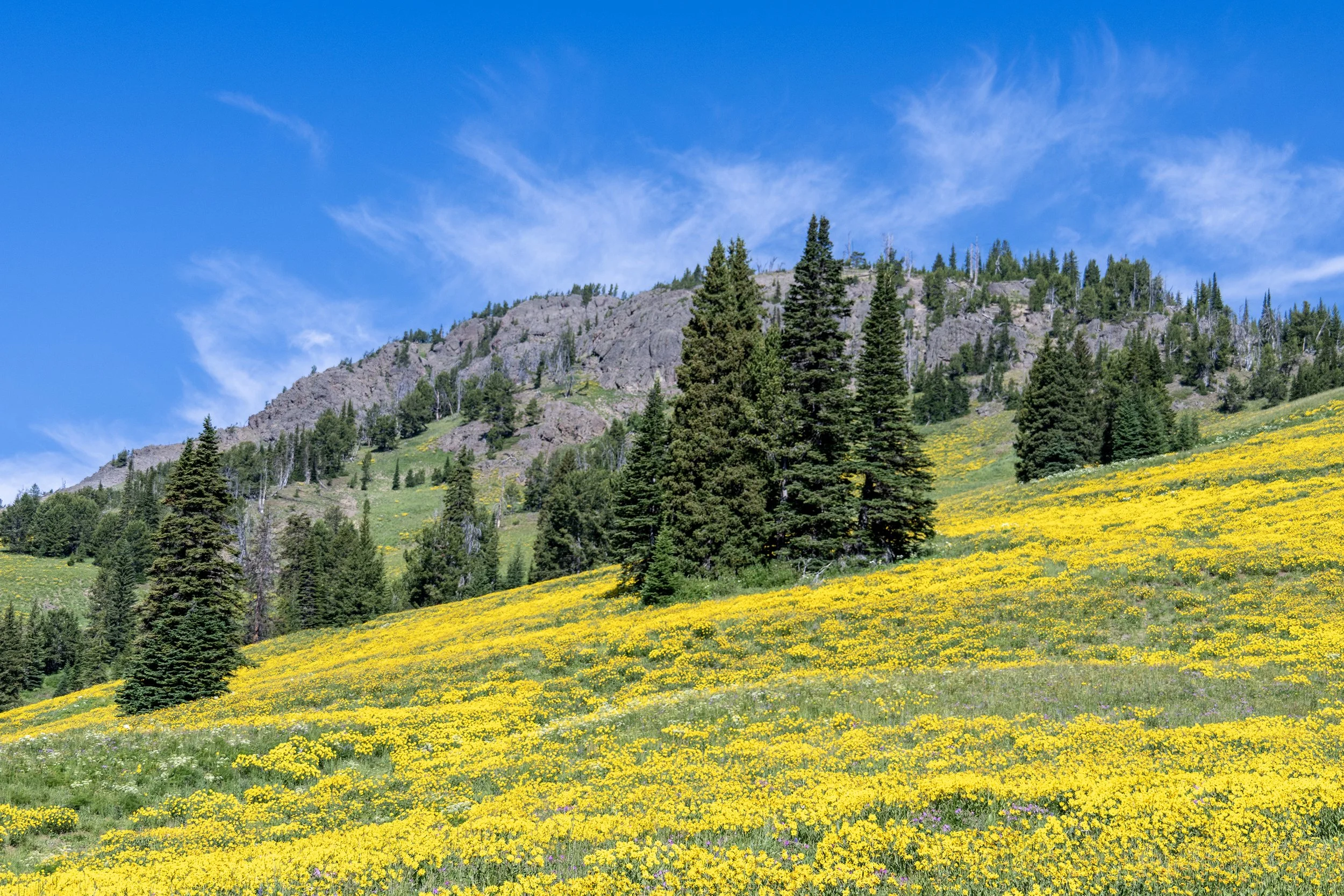 DZ25_1509-HDR copy.jpg