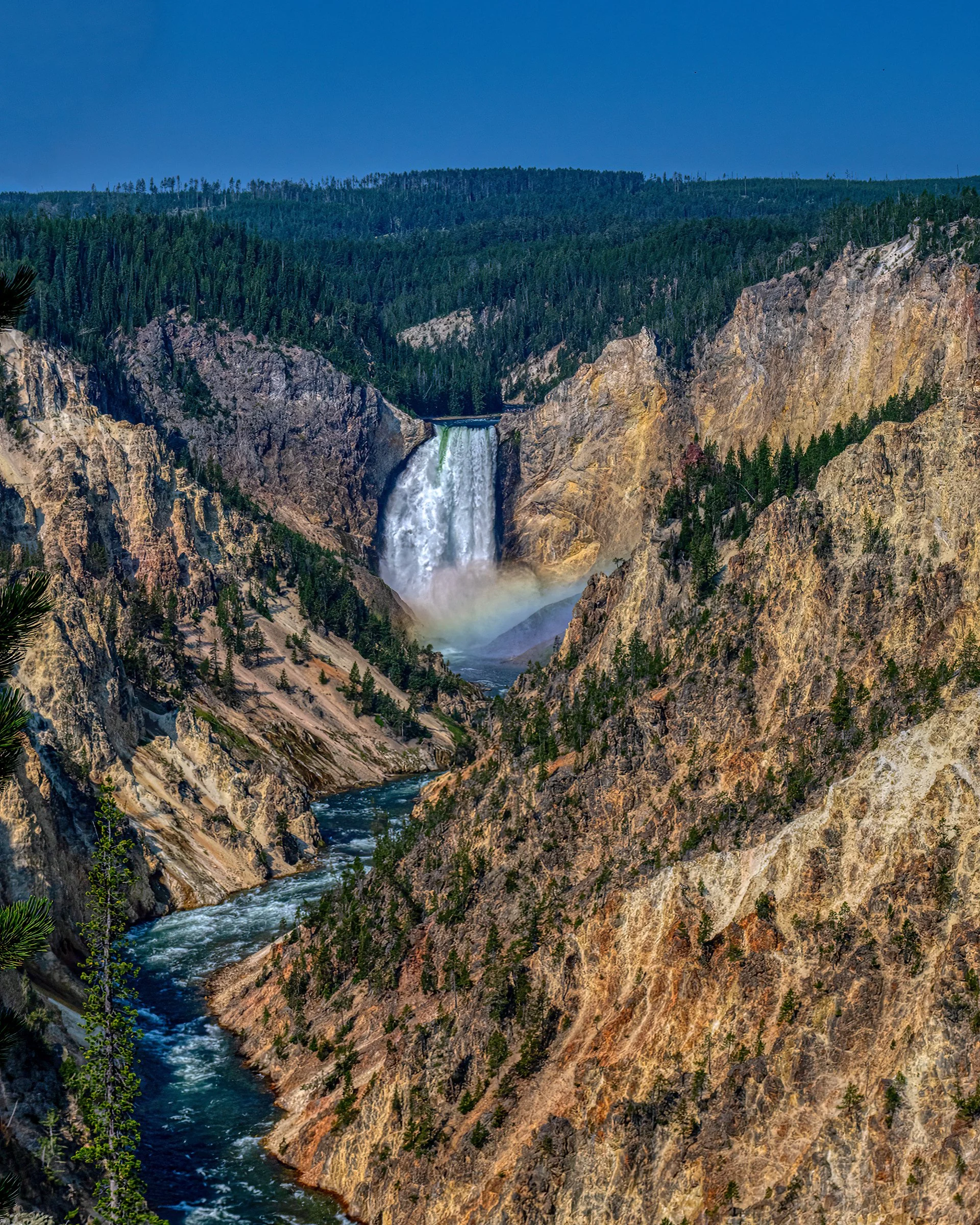 DZ9_8448-Edit-Edit copy 3.jpg