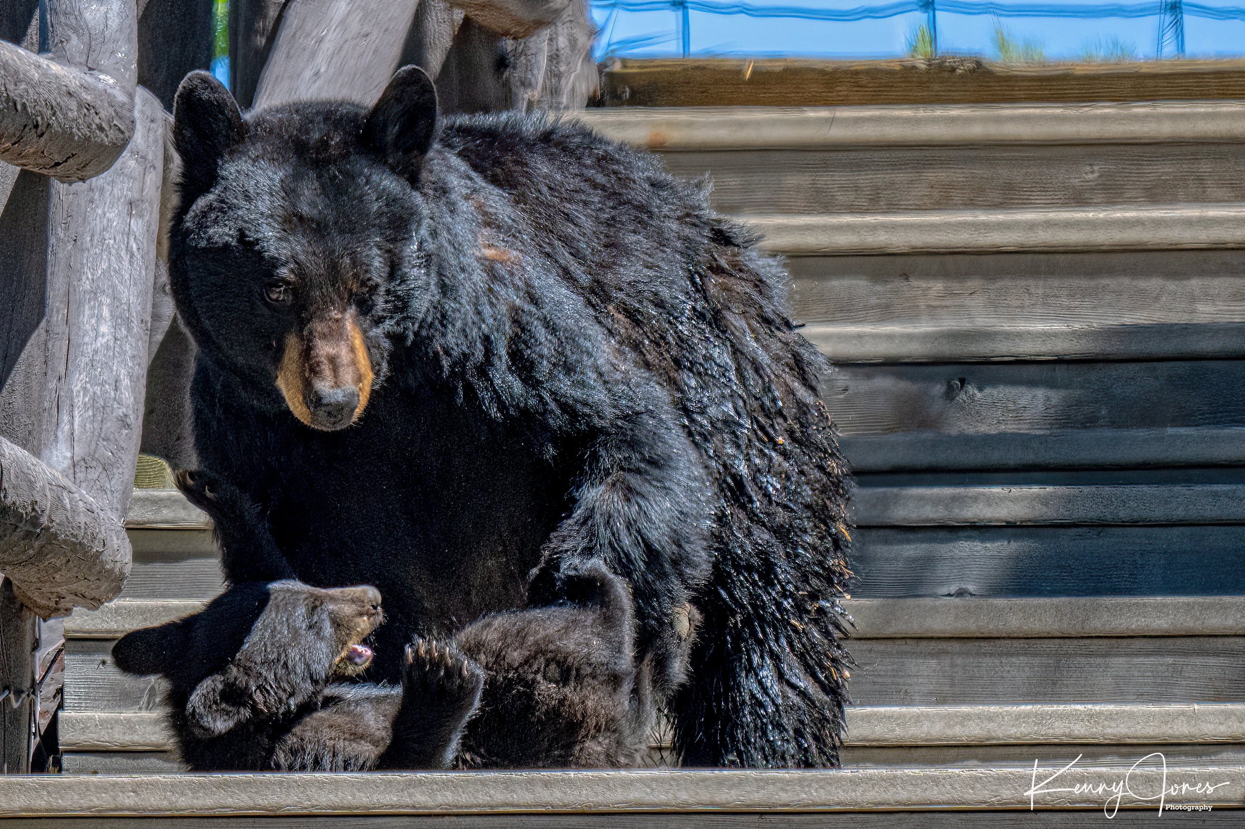 DZ9_7014-Edit-Edit 3.jpg