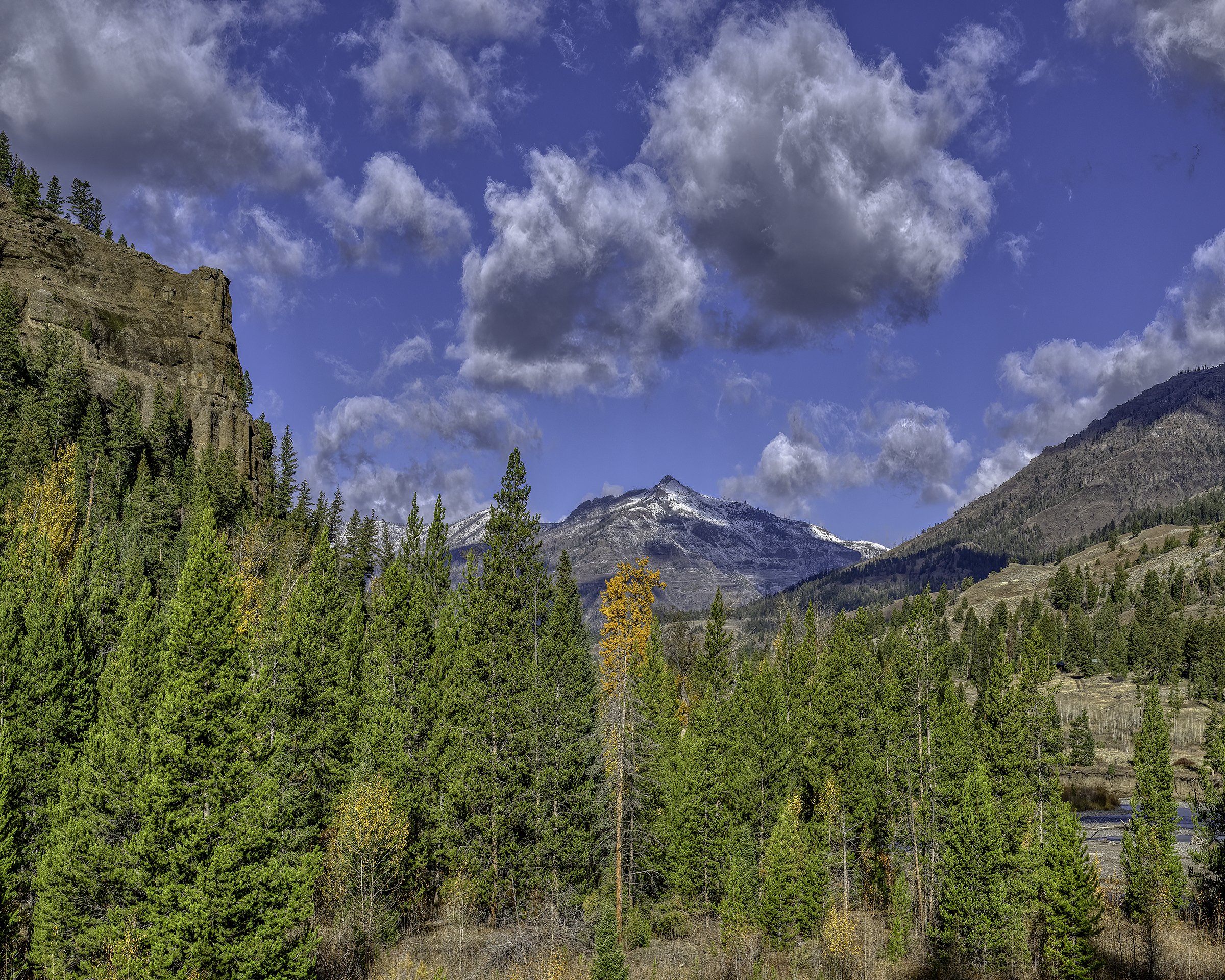 DSZ_3235-Edit-Edit copy.jpg