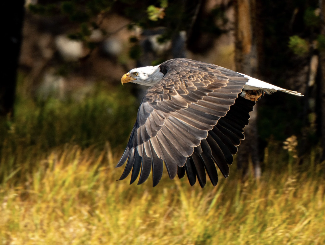 Screenshot 2026-02-25 at 7.12.32 PM.png