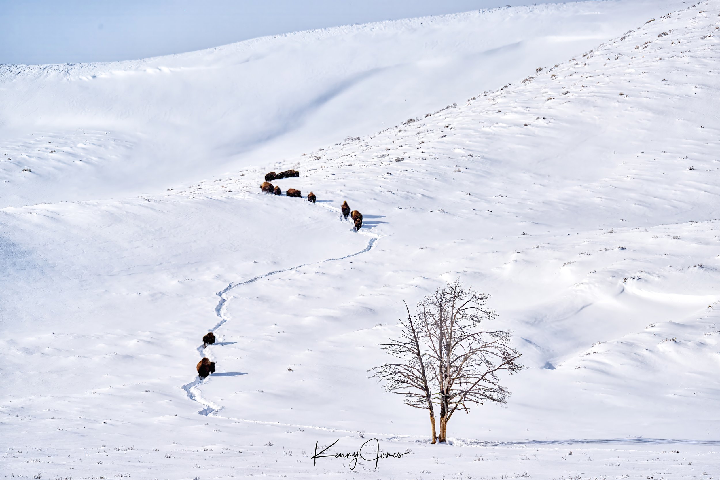 DSC_4926-Edit-Edit copy 3.jpg