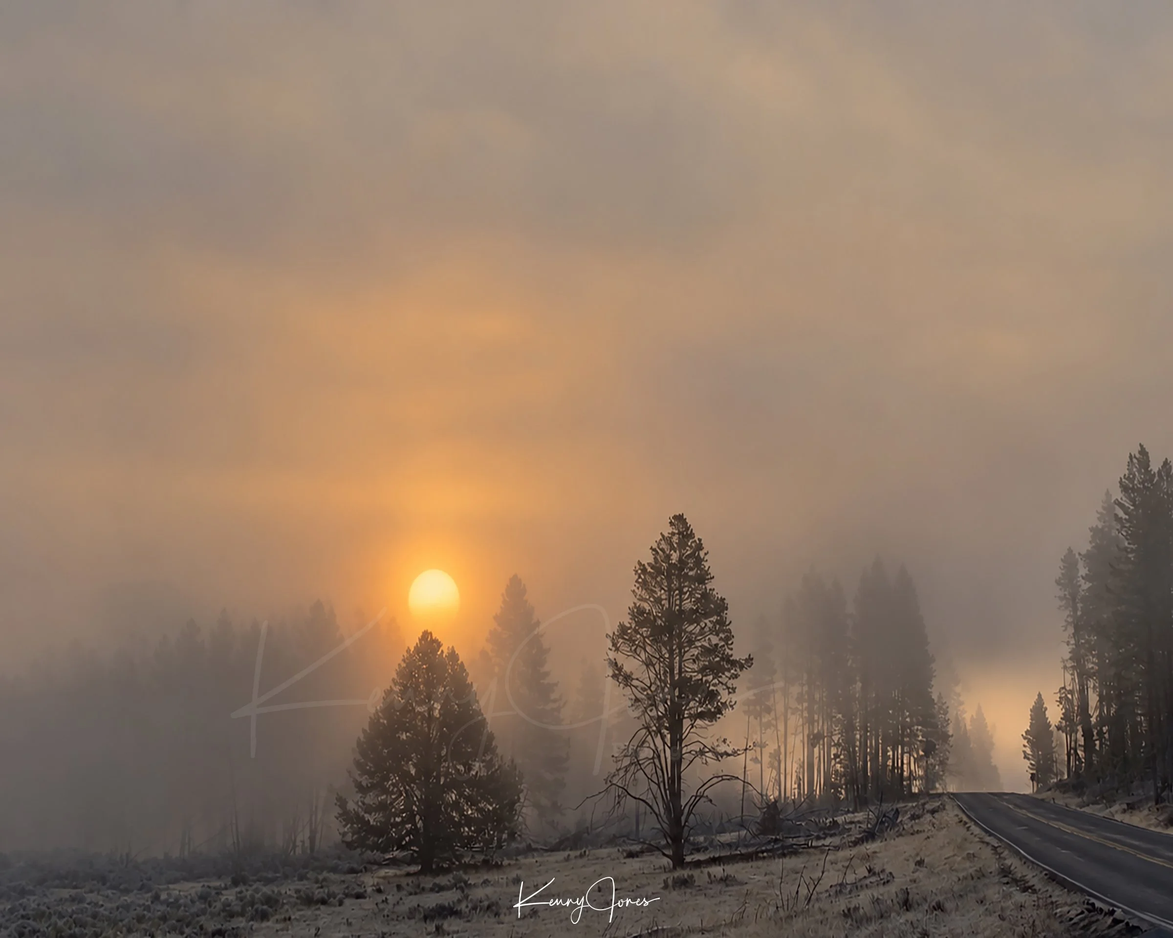 Misty Forest Road at Sunrise copy.jpg