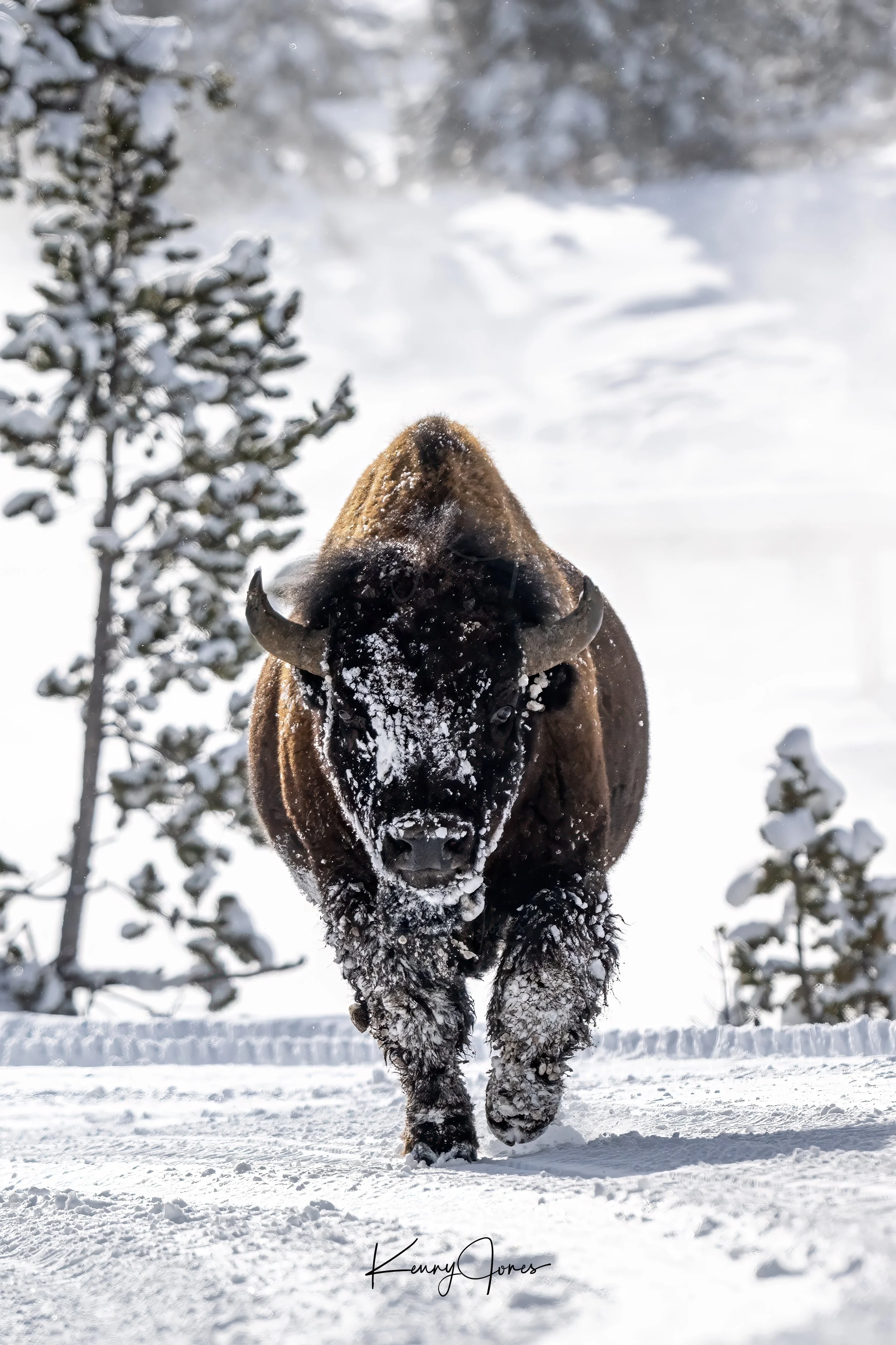 DSC_4893-Edit copy 2.jpg