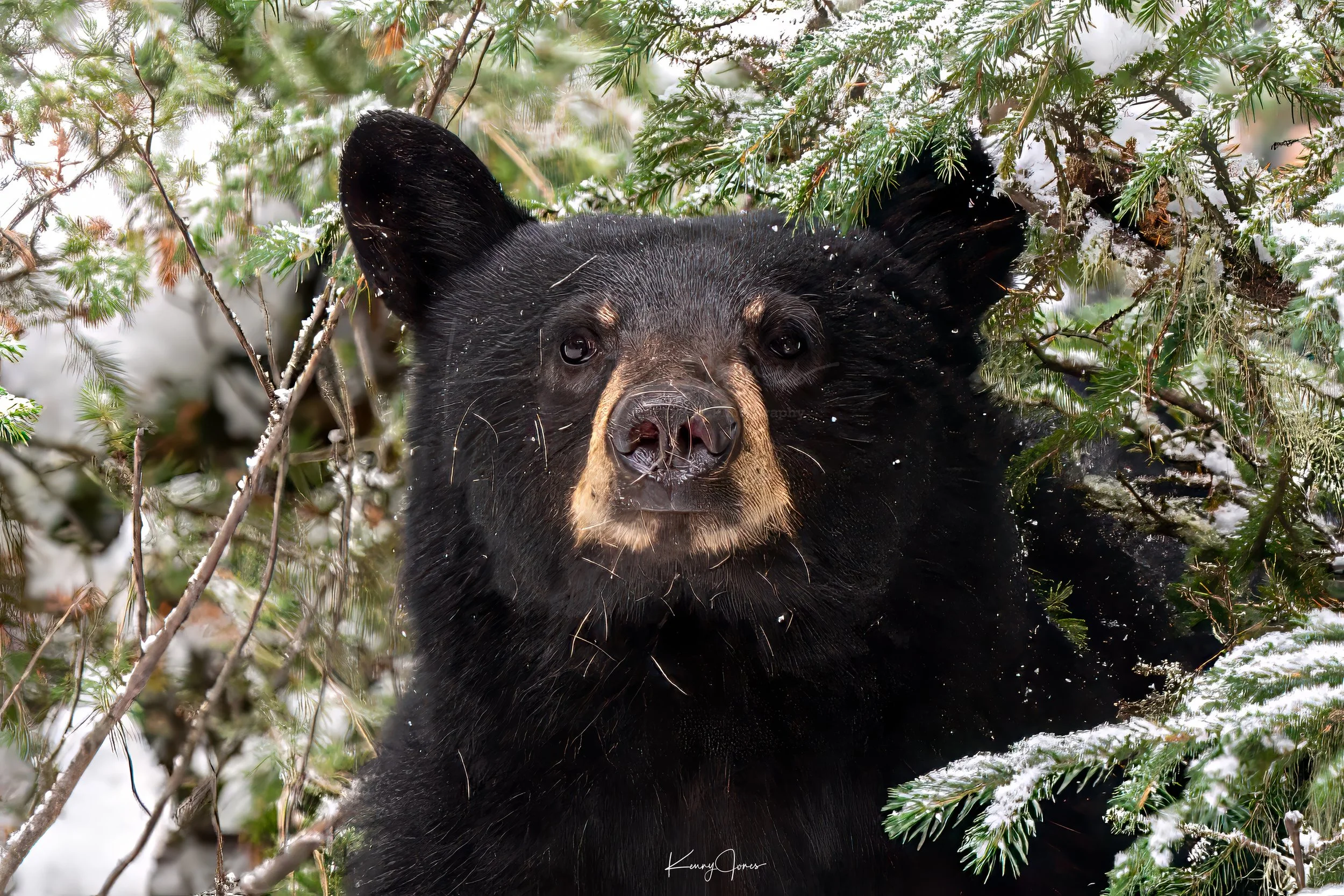 DSC_1351-Edit copy 2.jpg