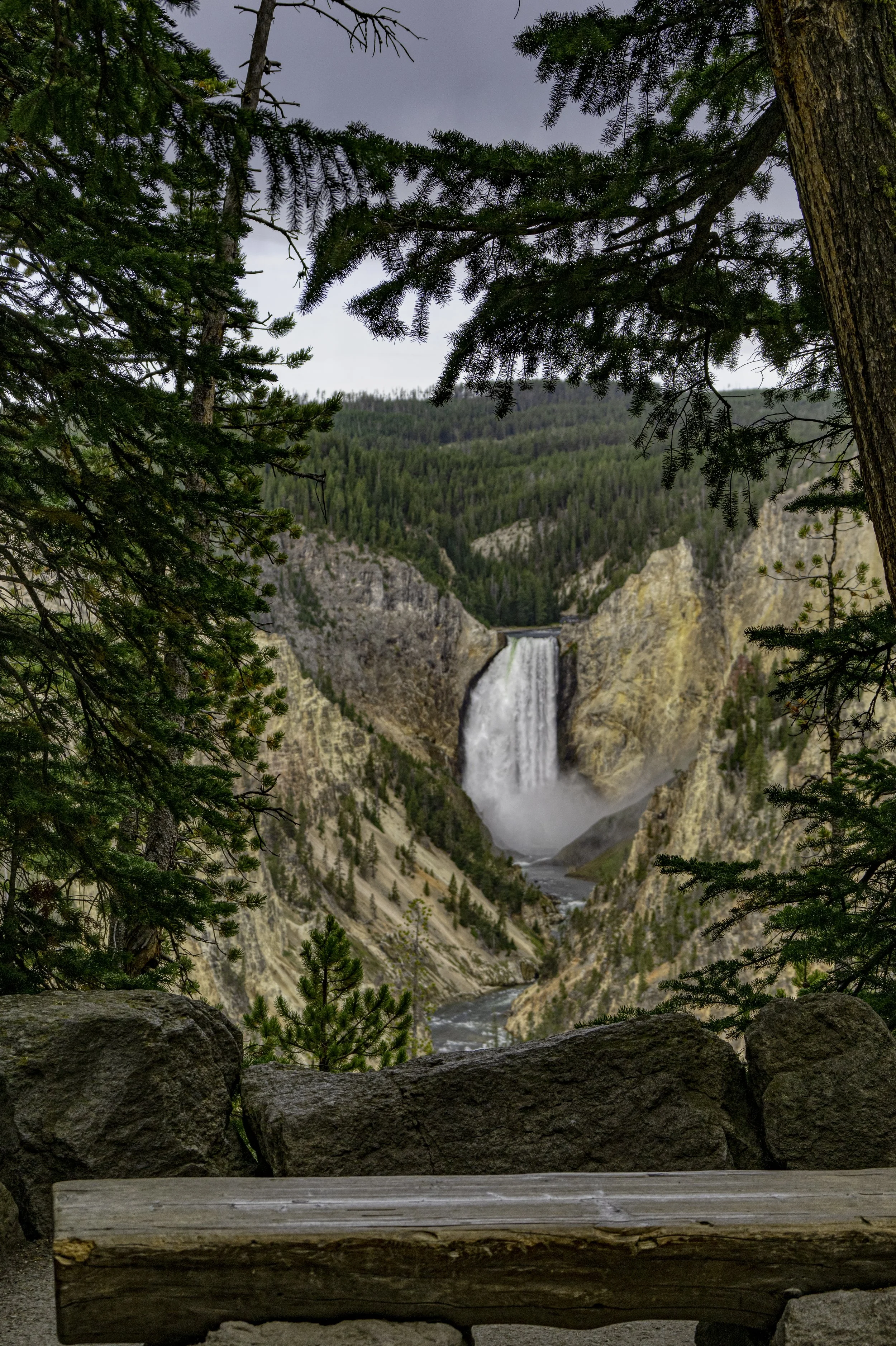 DZ9_5145-Edit copy 2.jpg