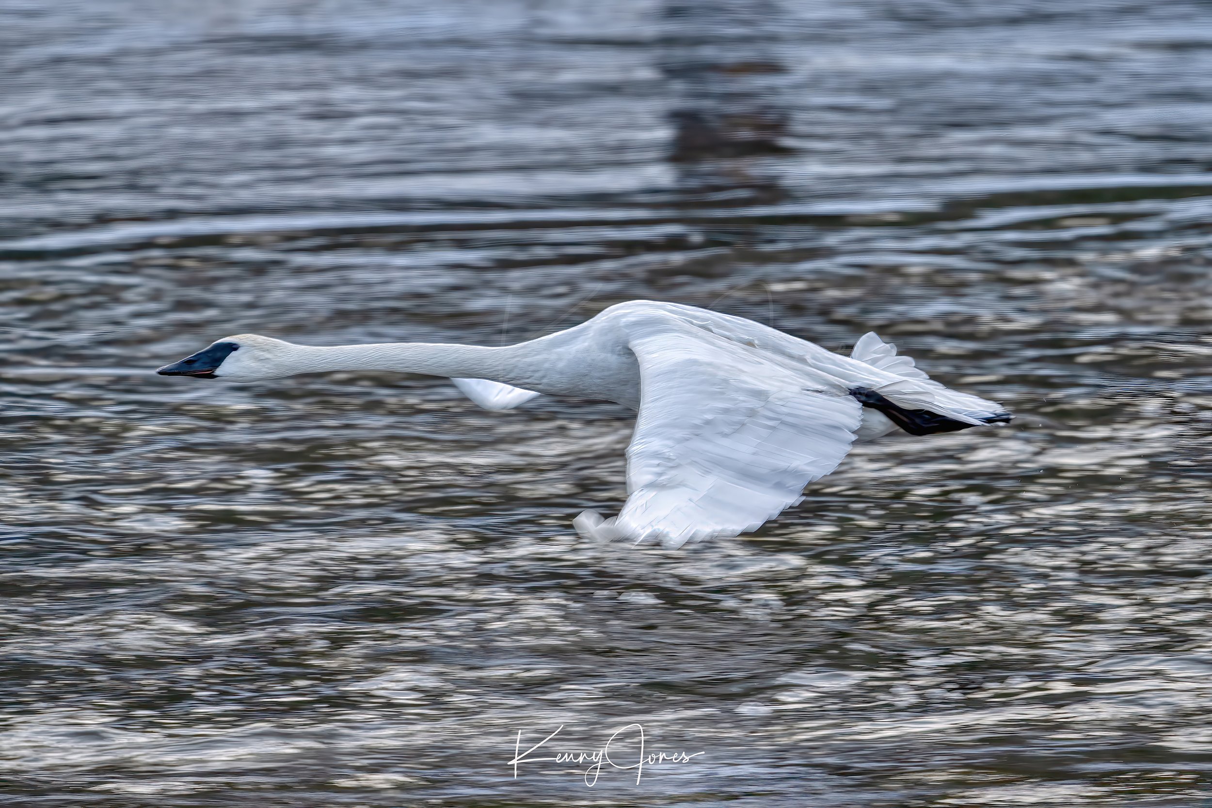 DZ2_6615-Edit-Edit copy.jpg