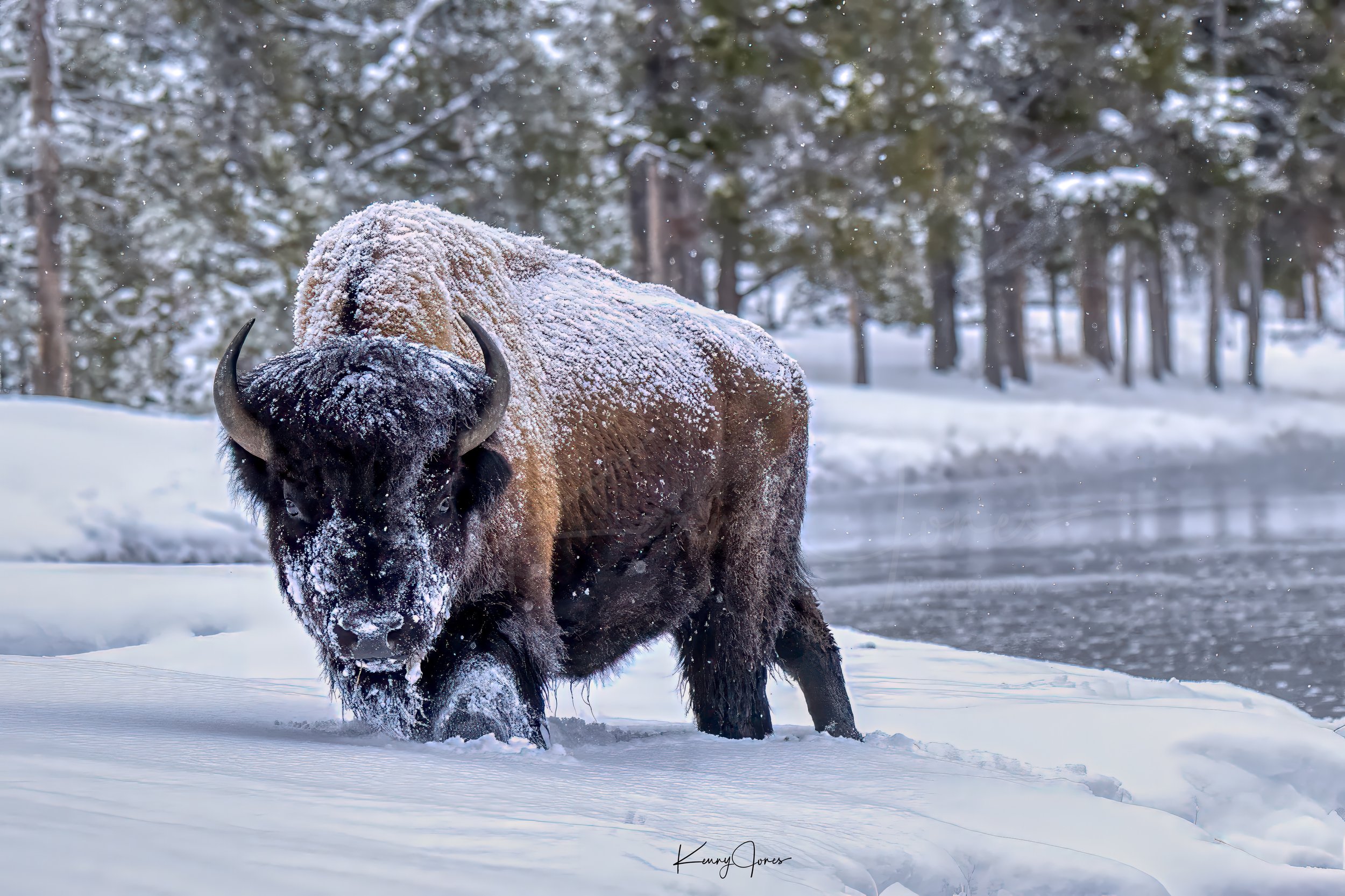 DZ9_6868-Edit-Edit copy.jpg