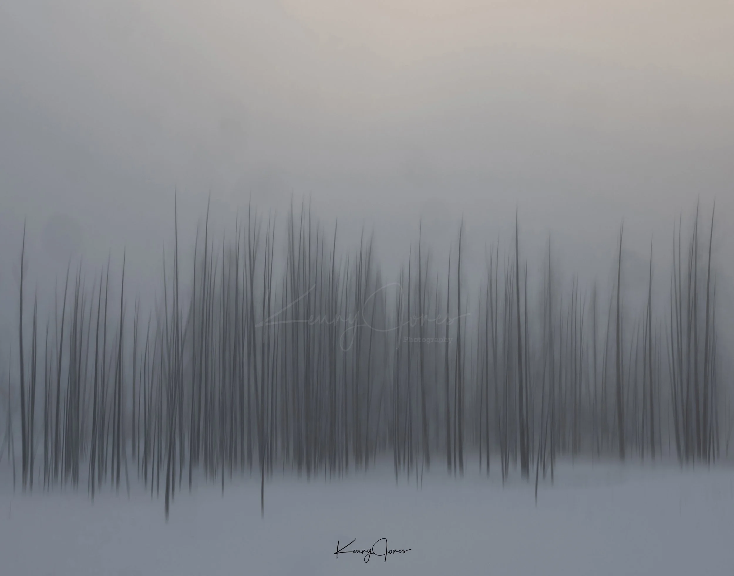 DZ9_0339 copy 11 x 14 copy.jpg