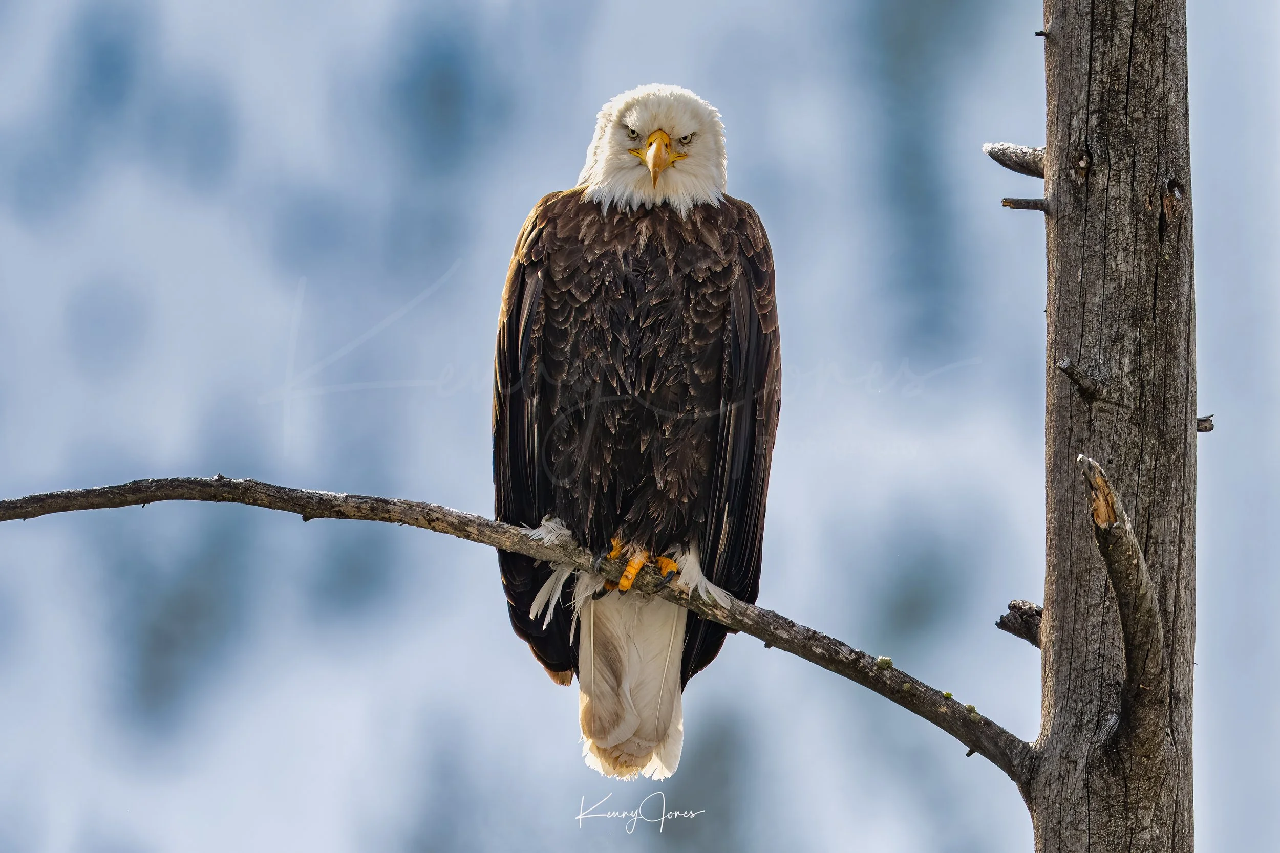 DZ2_8900-Edit copy 2.jpg