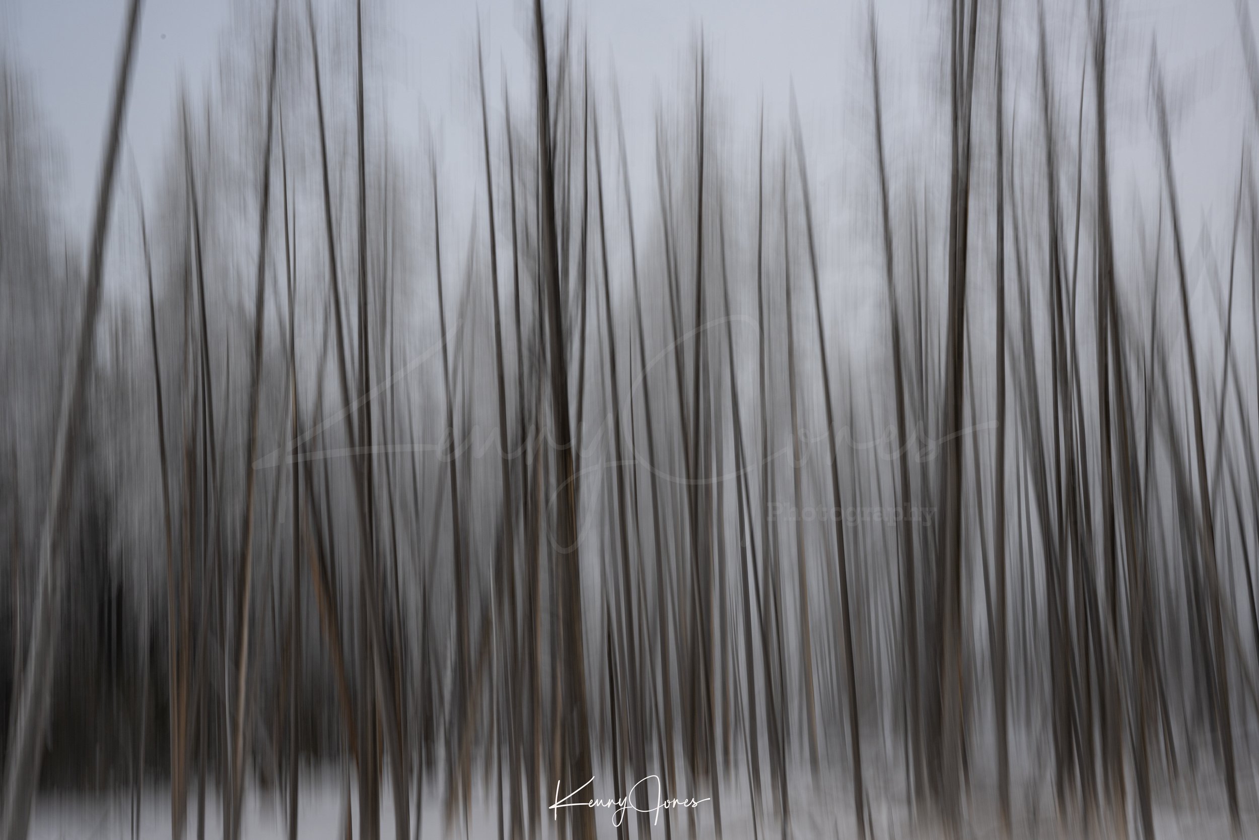 DSC_5851-2 copy 2.jpg