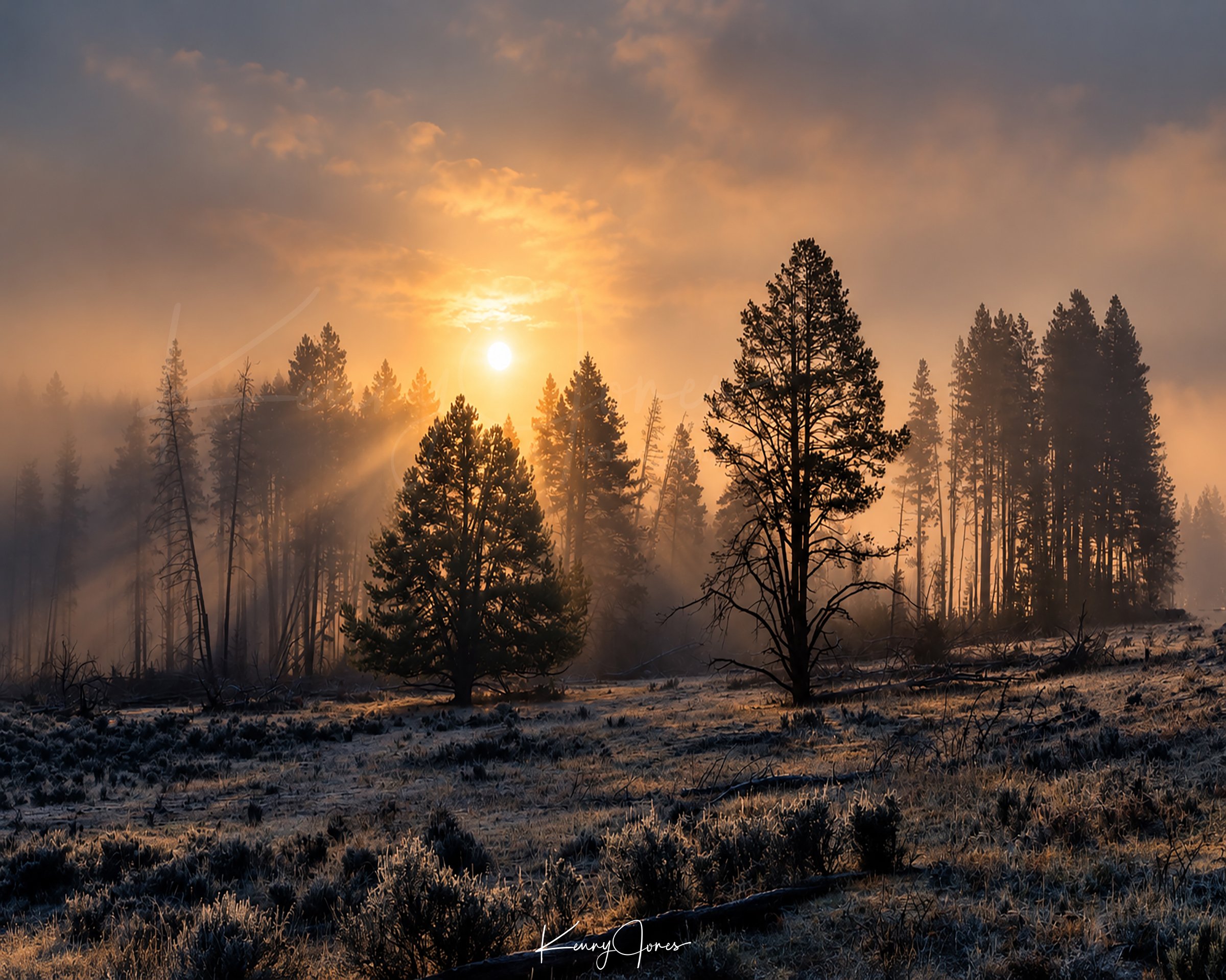 DZ9_5317-Edit copy.jpg