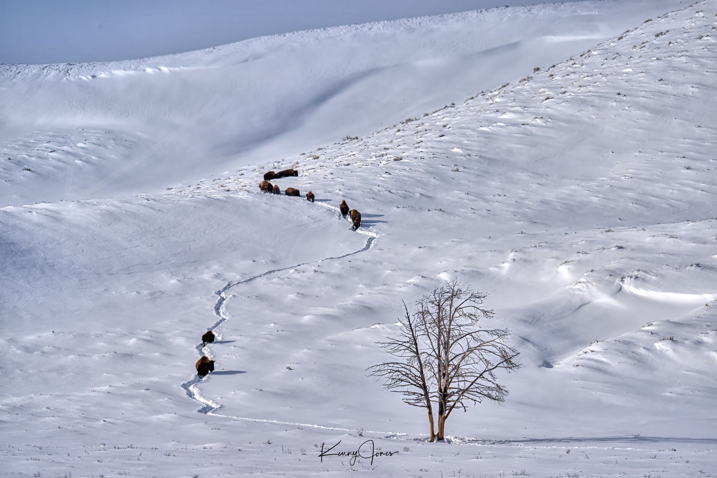 DSC_4926-Edit-Edit copy 8x10 copy 3.jpg