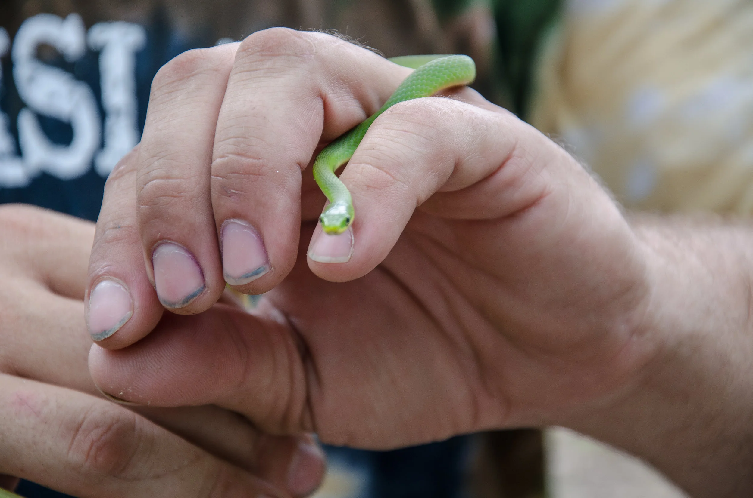 20181010_Snakes_Rocks_Buddy_2114.jpg