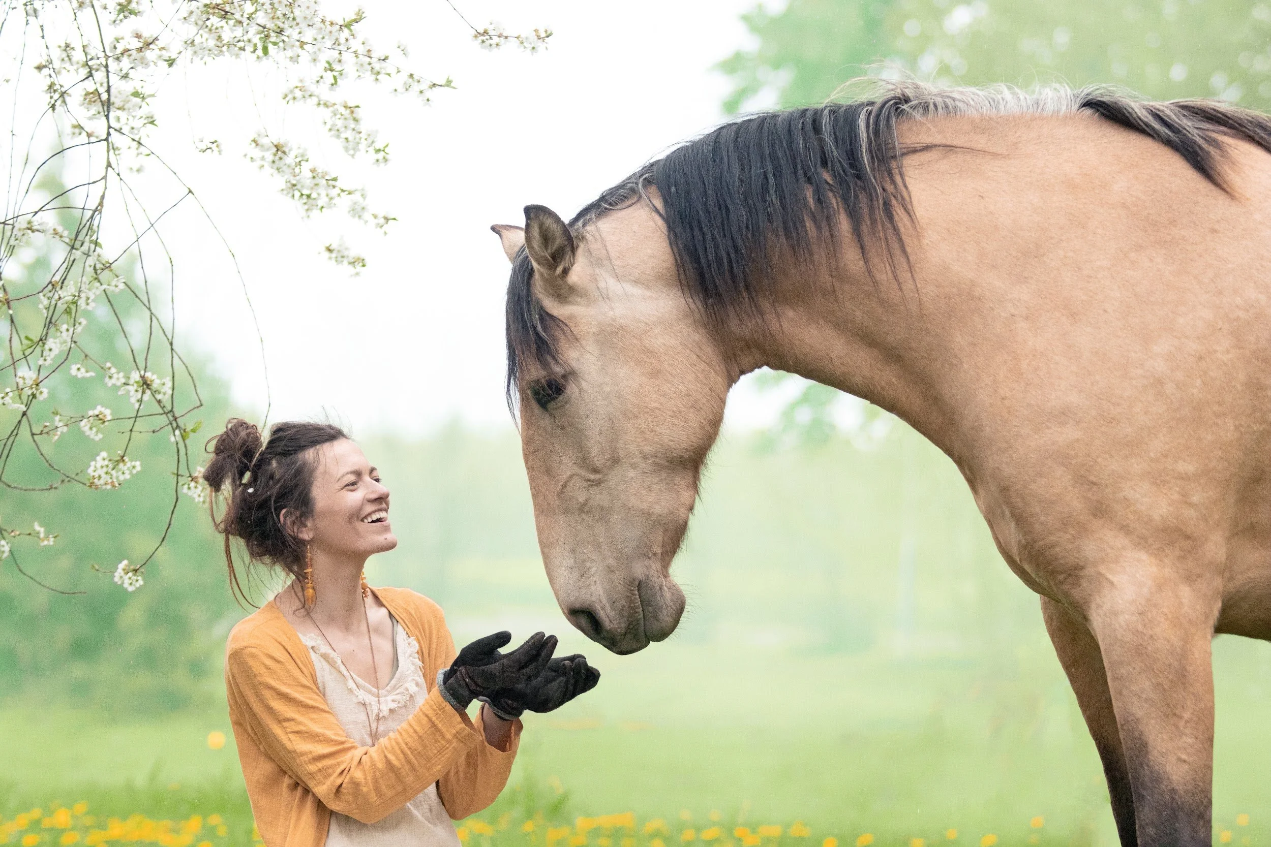 In Their Rhythm: Living, Learning and Listening With Horses