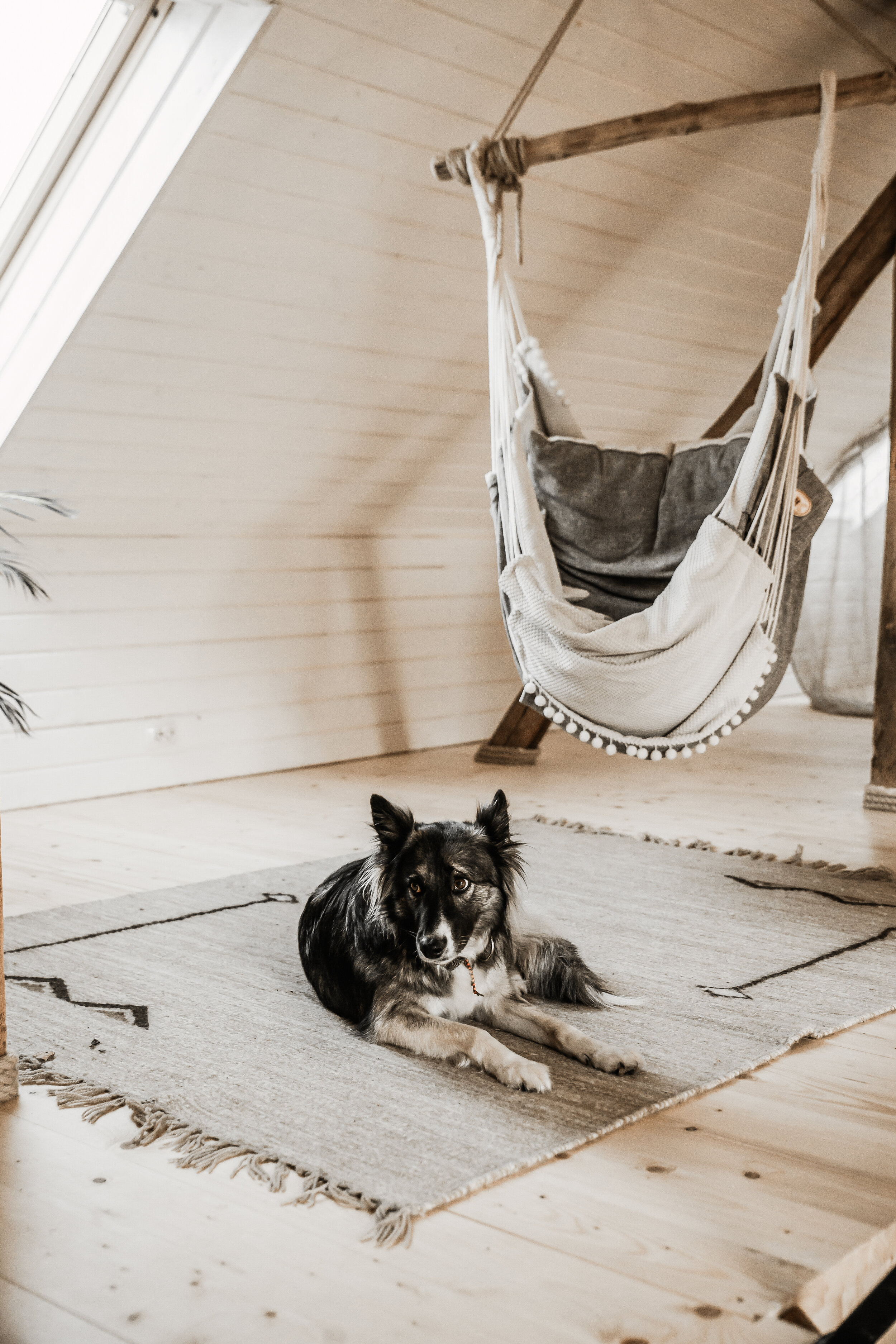 CERAMIC APPRENTICESHIP OPPORTUNITIES IN POTTERY STUDIO — Laima Ceramics