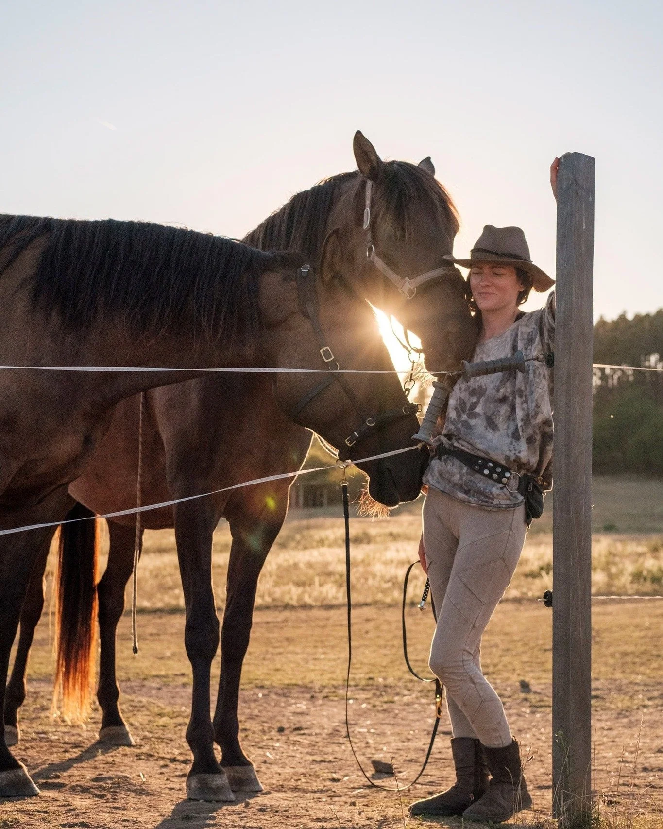 I was grateful to be able to entrust my two geldings- Miervaldis and Livino - to trainer Kristina @physiodressage in Czech Republic for their summer education camp. 

She created a peaceful, supportive environment where the boys could truly settle, l