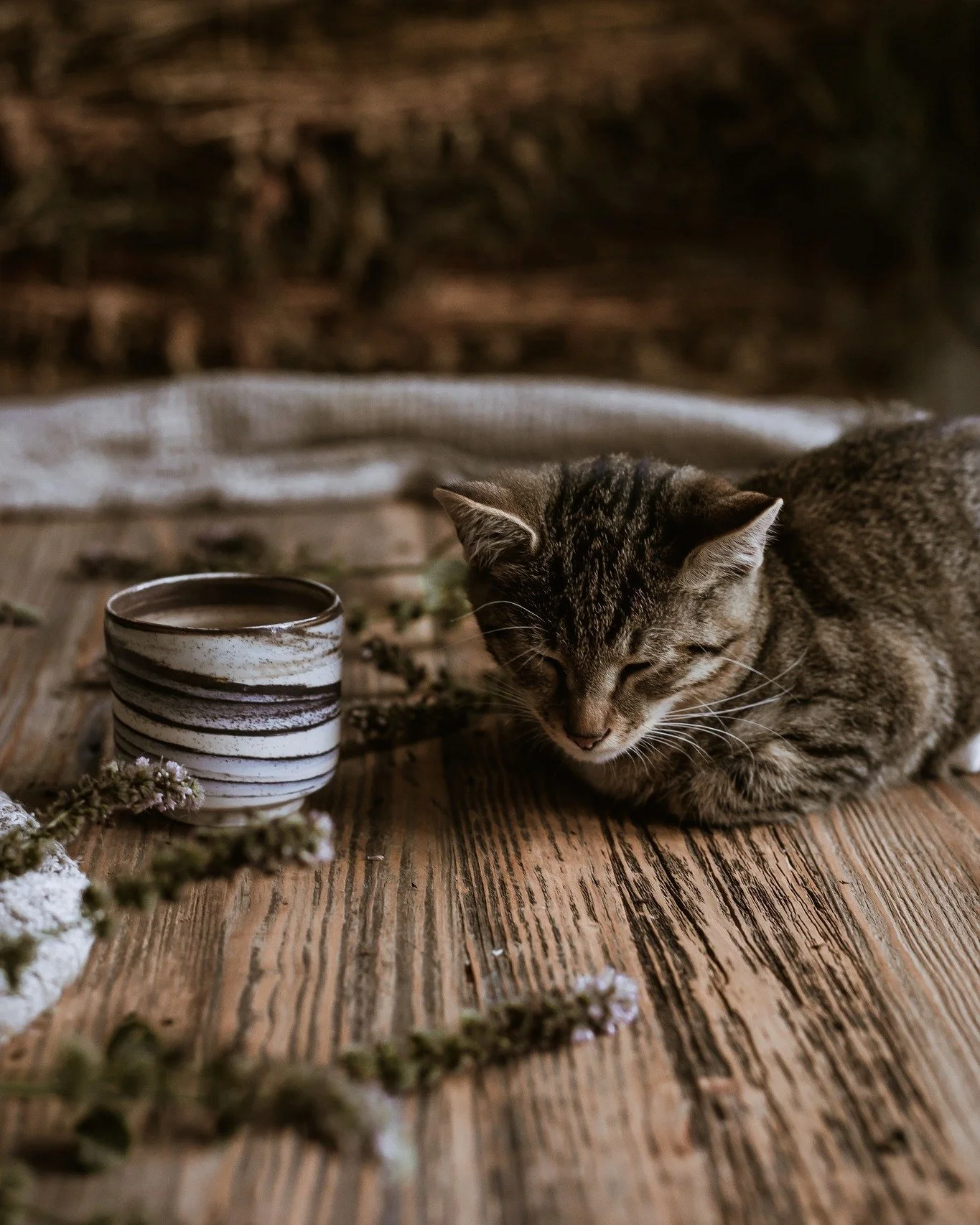 Ahh, it&rsquo;s that end-of-year feeling &mdash; where I scroll through old photos, sip something warm, reminisce&hellip; and yes, do my bookkeeping and run the numbers.

Every year at least once, I still get the occasional curious message &mdash; so