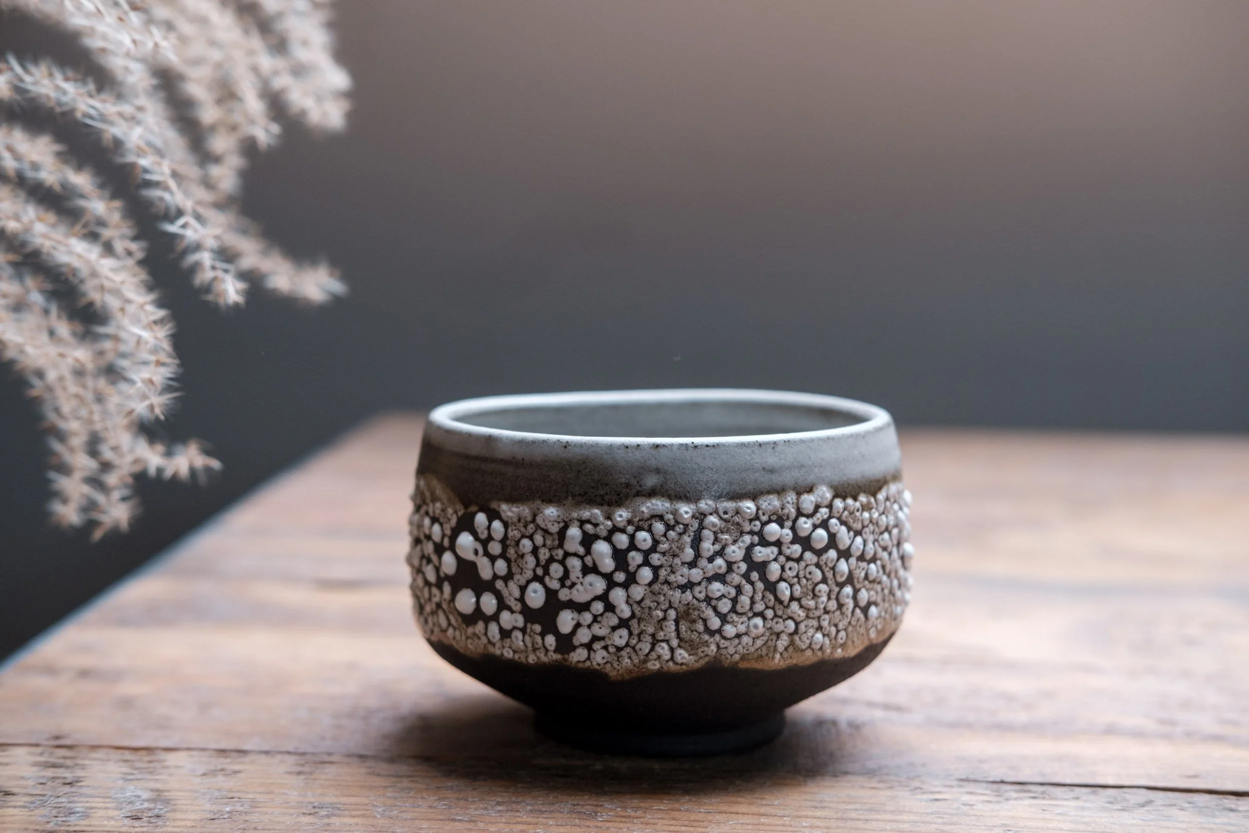  WHITE LICHEN +SATIN WHITE (on black sw)