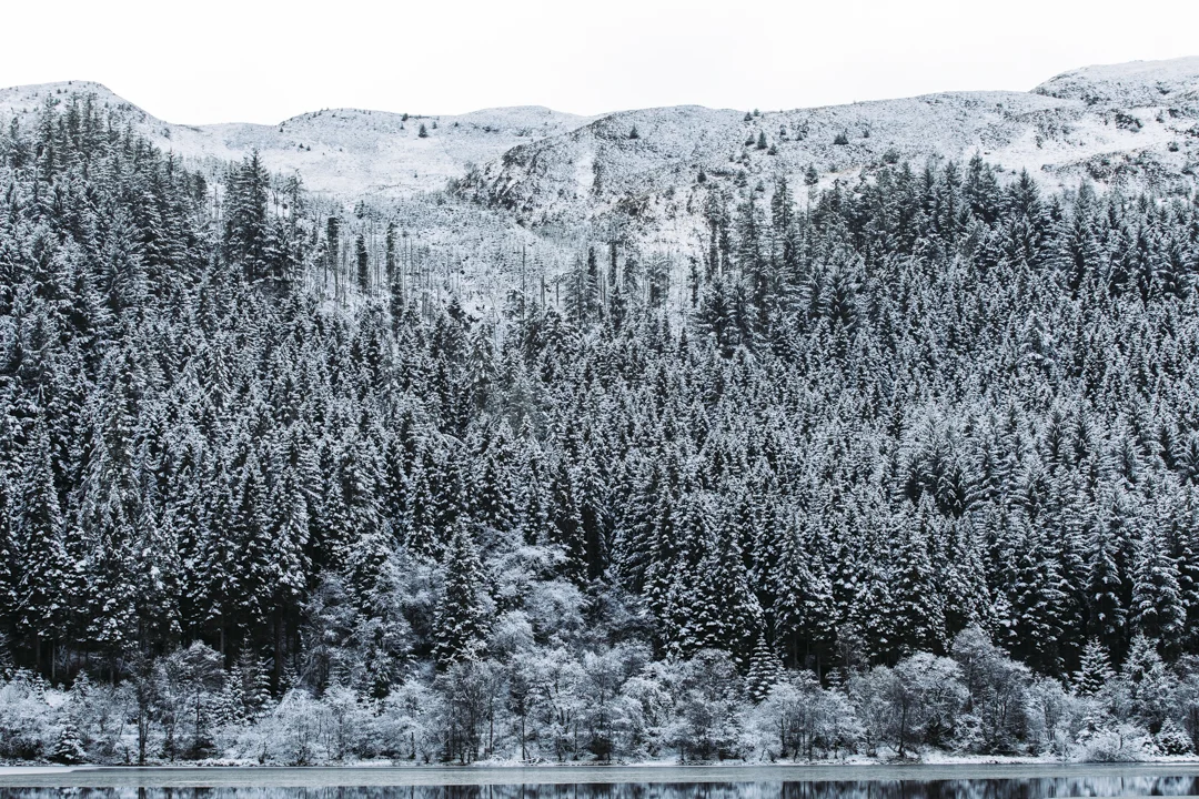 Loch Lomond010.jpg