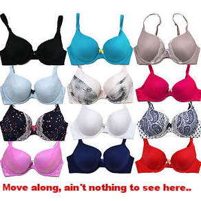 Victoria's Secret debuts first mastectomy bra - Bizwomen