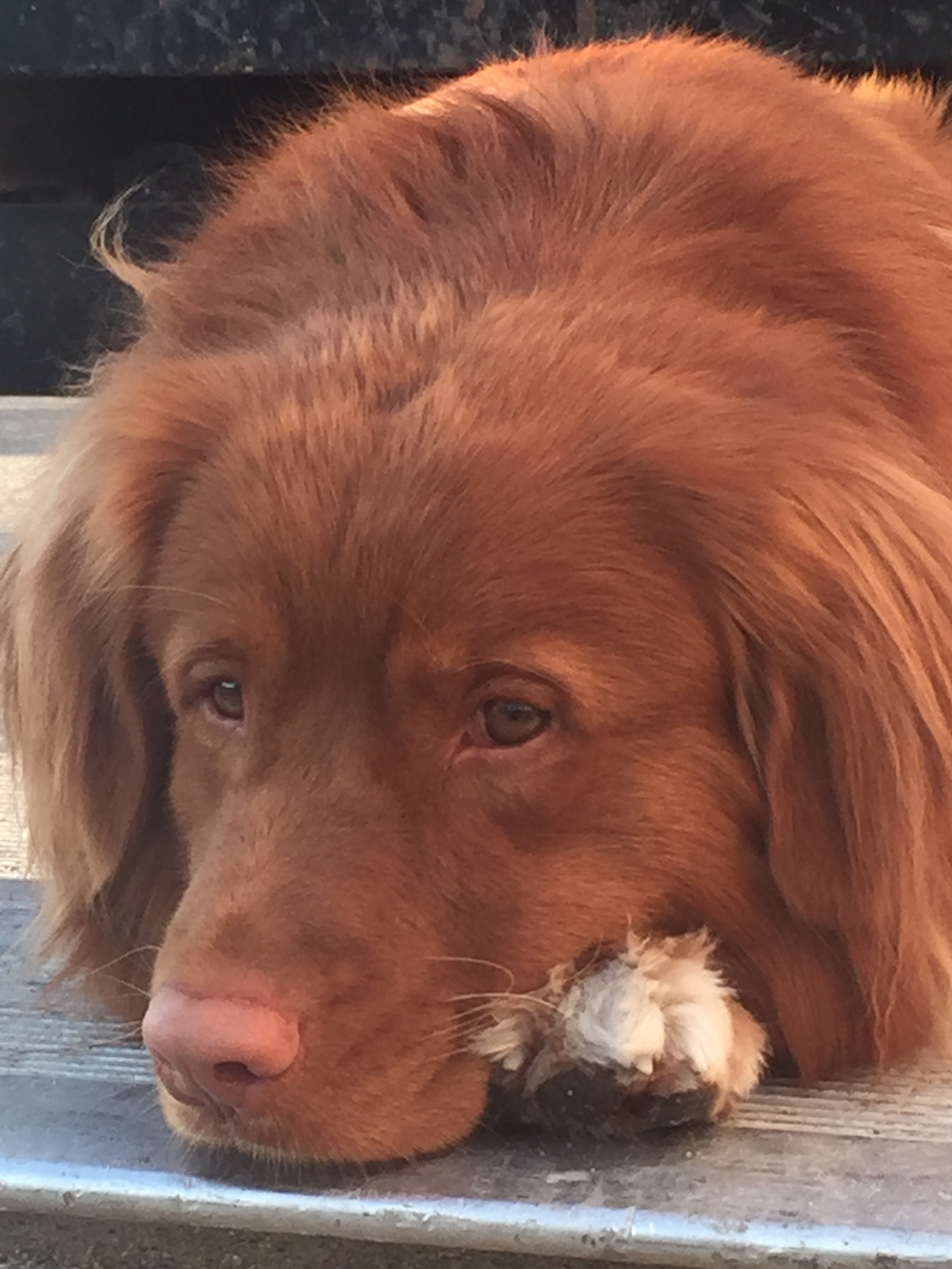 21. "Overdoing It" or too much activity is relative...