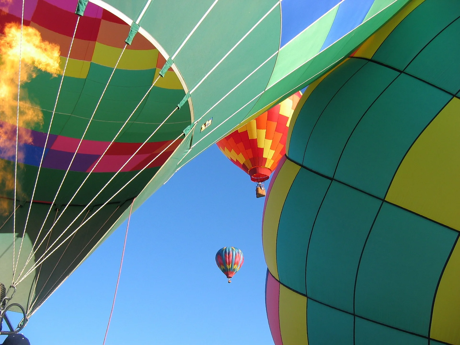 balloons-352590_1920.jpg