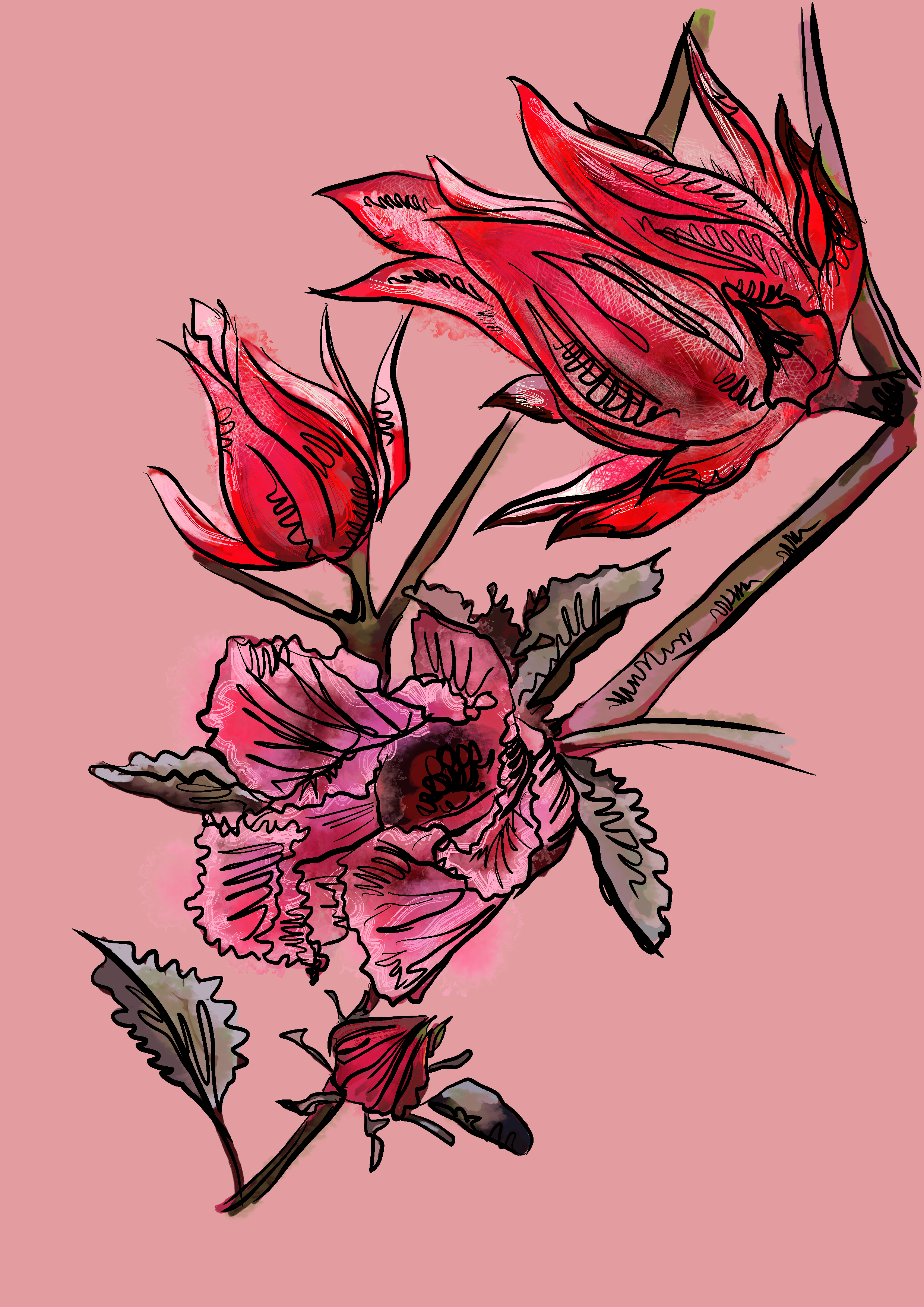 Untitled_Artwork 4.png