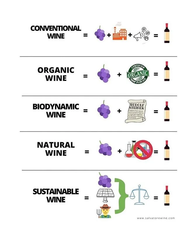 Which do you drink more?

#conventionalwine;

#organicwine;

#biodynamicwine;

#naturalwine;

#sustainablewine. -
-
-
#sommelier #wineexpert #wineconnoisseur #winelover #winetasting #winedinner #vino #wine #wineday #winelovers #wines #winery #vin #wi