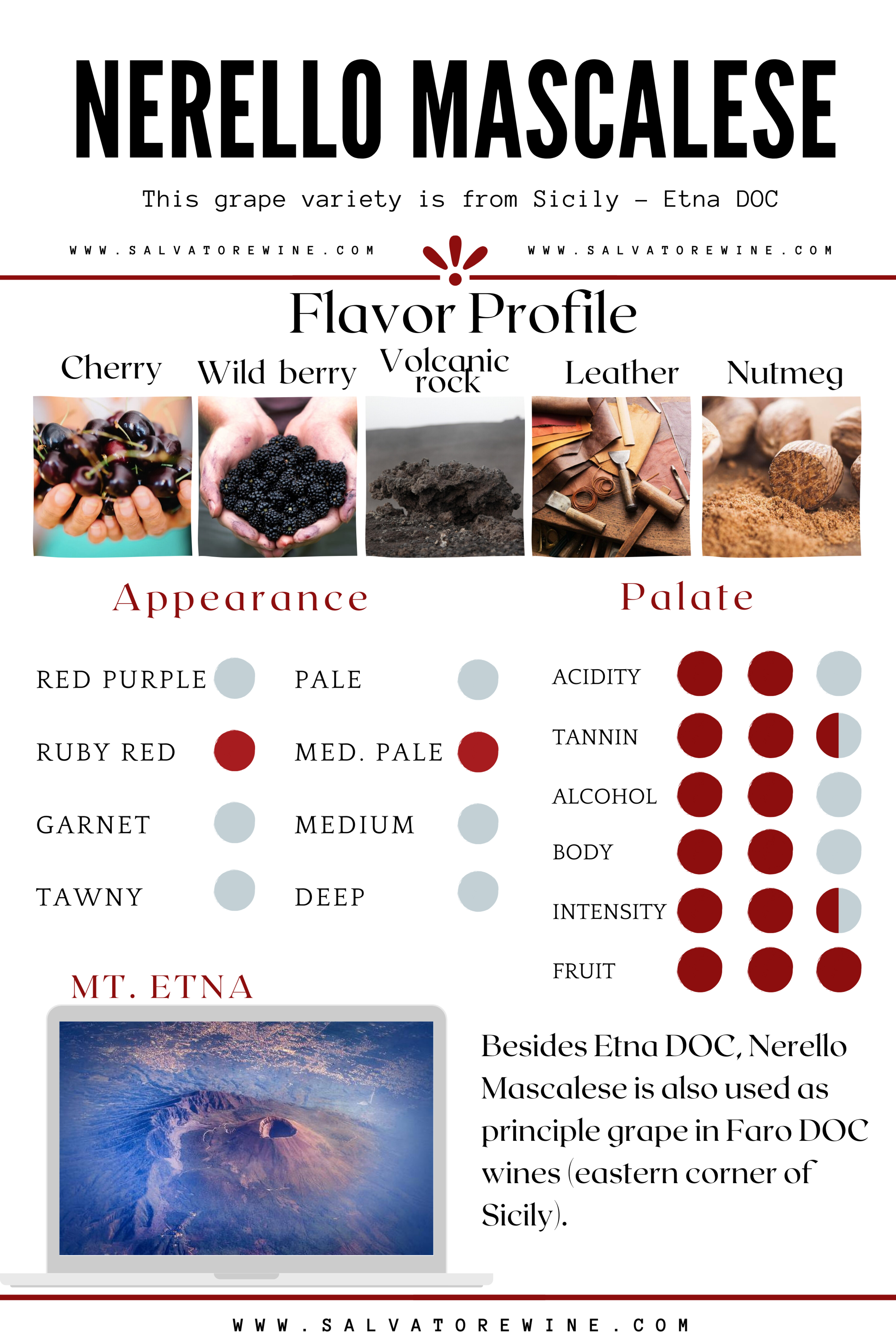 SALVATORE_WINE_NERELLO_MASCALESE_INFOGRAPHIC.png