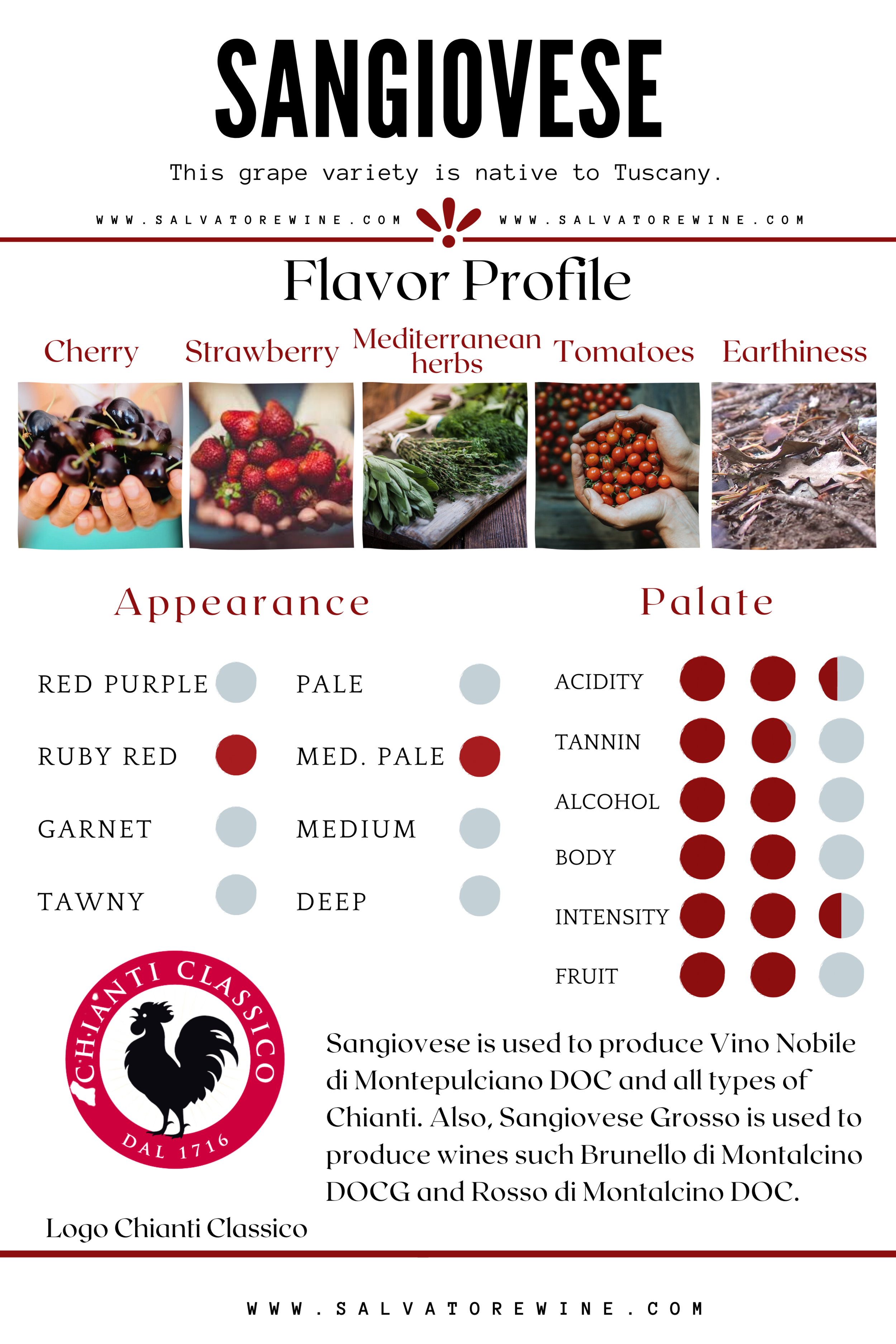 SALVATORE_WINE_Sangiovese_INFOGRAPHIC.png