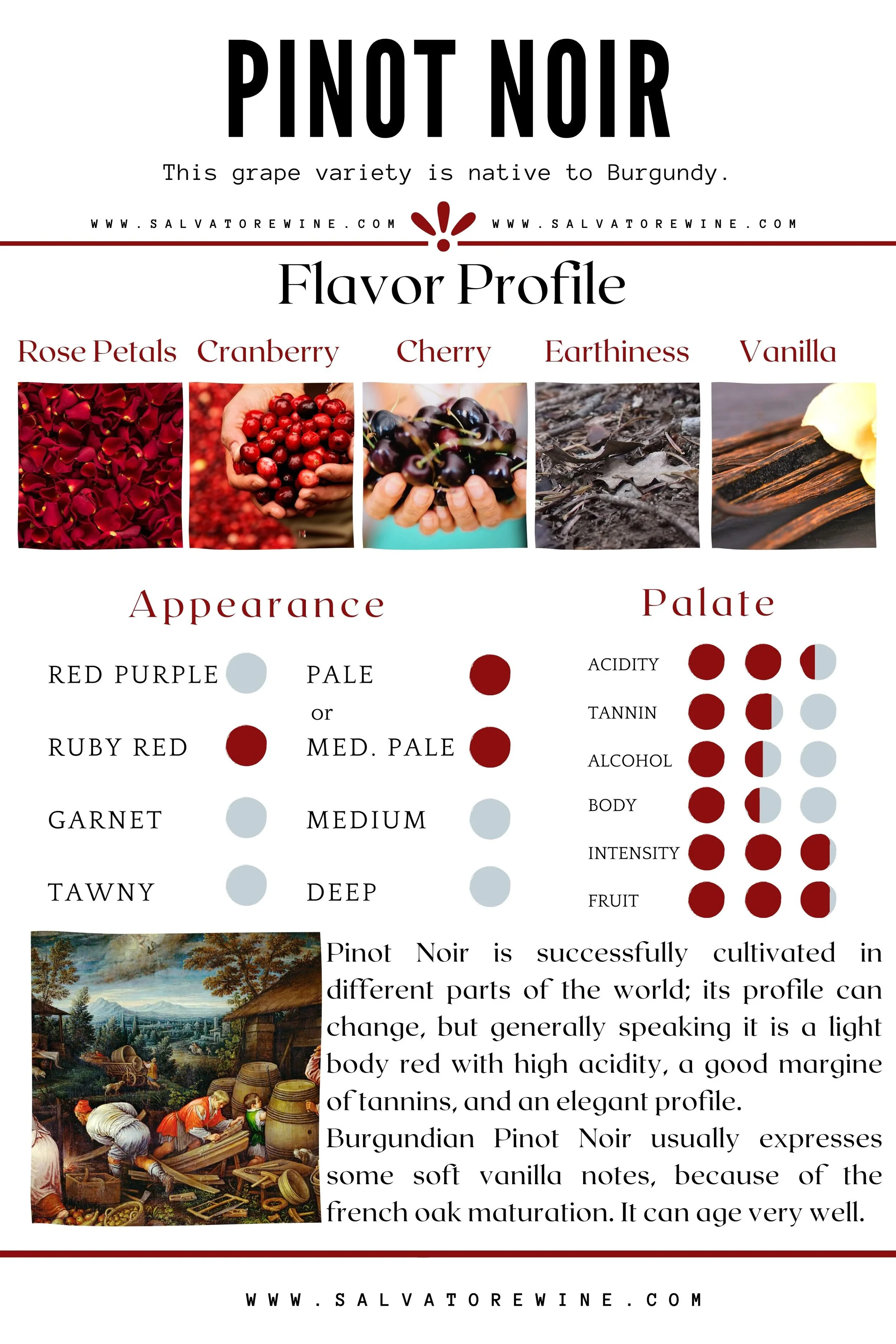 Pinot Noir_Salvatore Wine