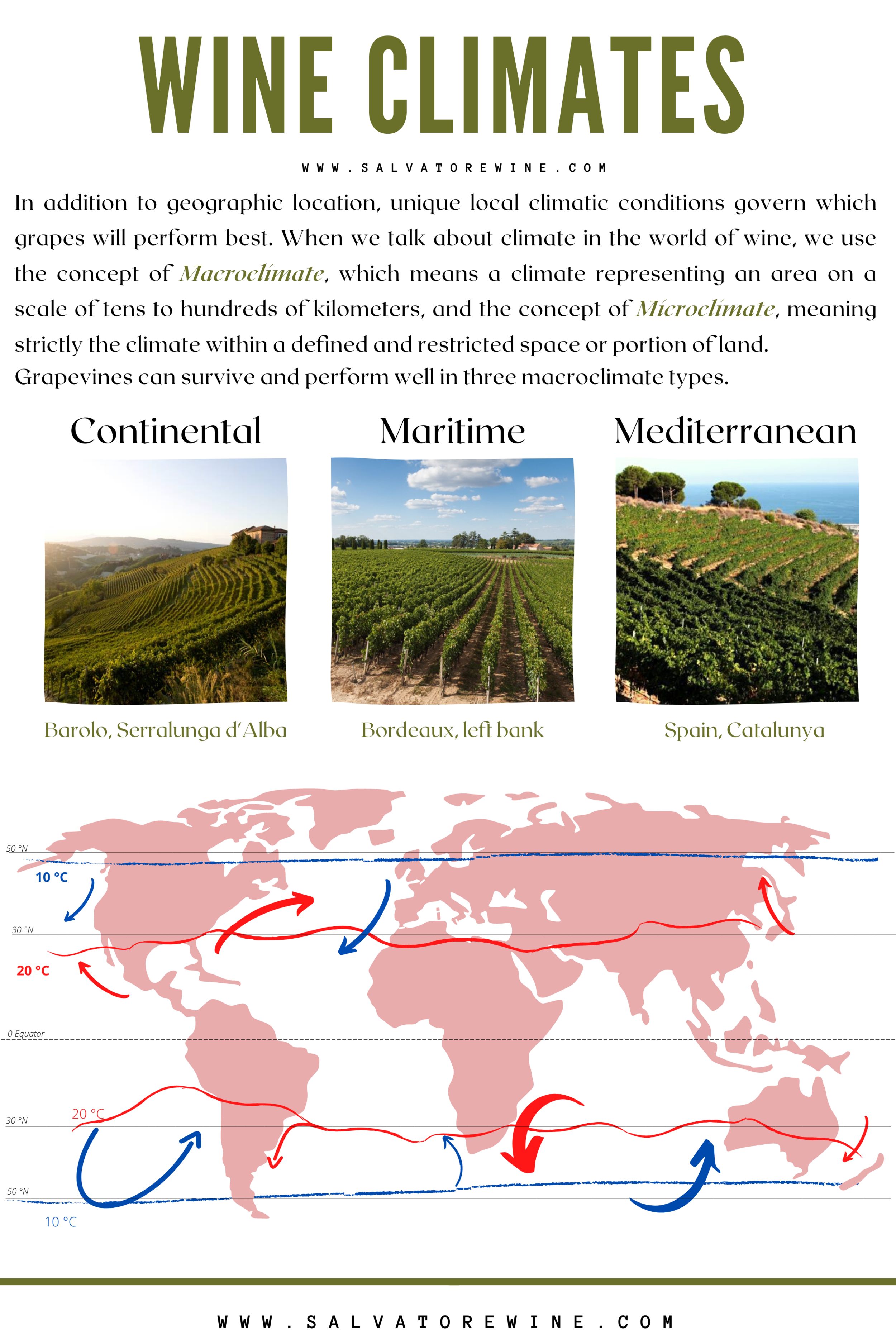 Generally speaking, grapevines can only survive up to a certain latitude, above the equator, where multiple factors match the perfect growth conditions for grapes. Specifically, I am talking about humidity, rainfall, sunlight, and, of course, temper…