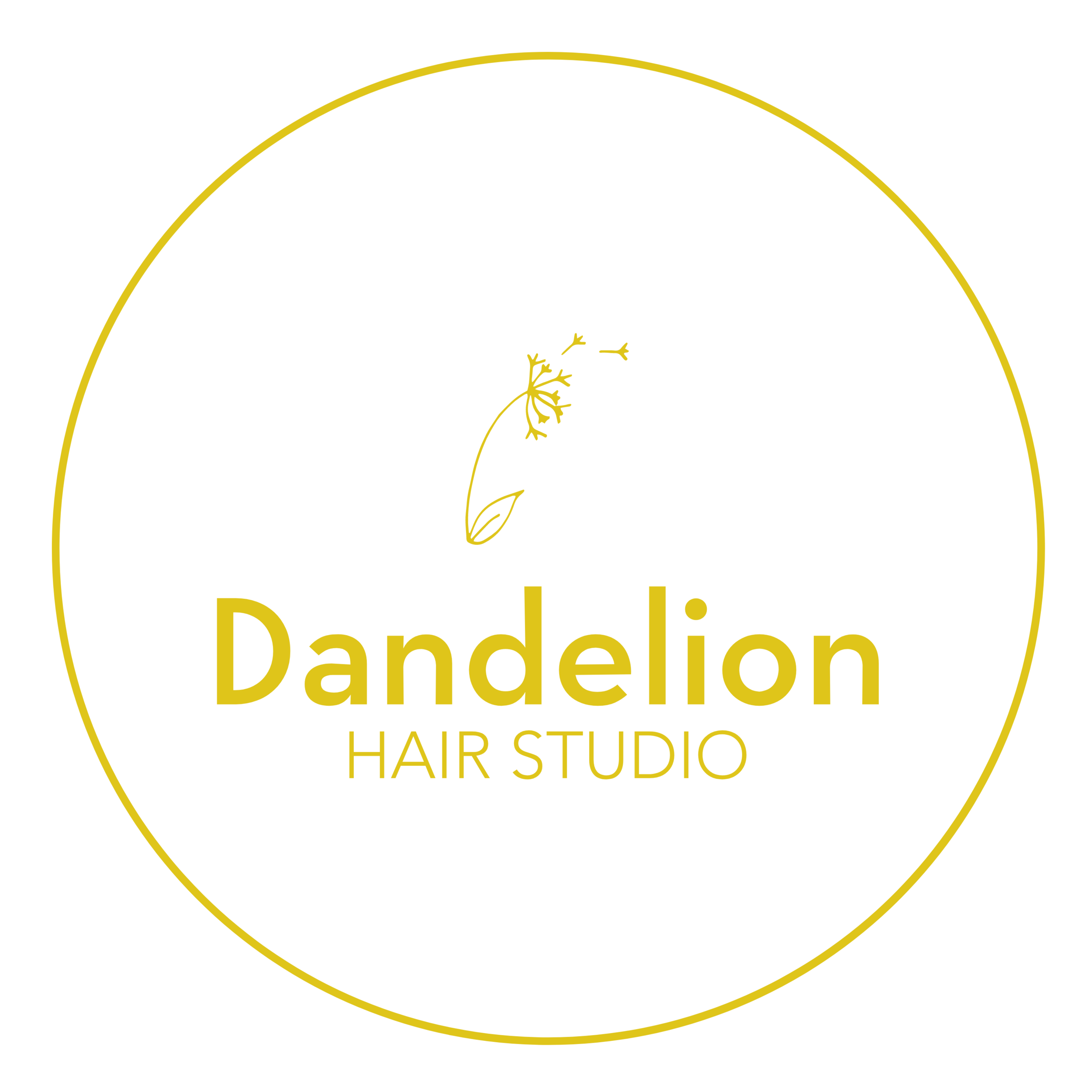Dandelion Hair Studio