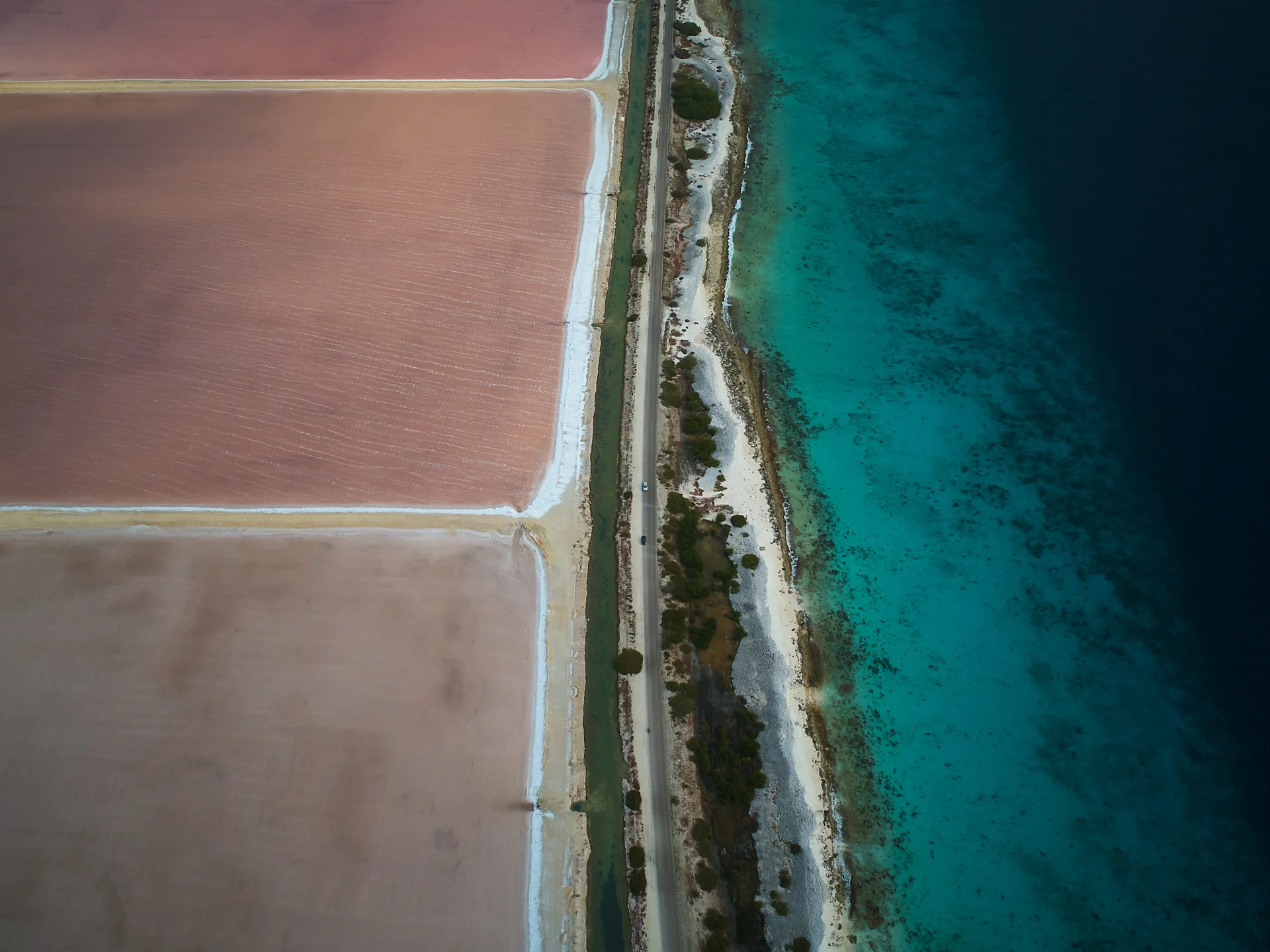 Bonaire Uncovered: Where to Stay, Eat, and Have Fun in Paradise