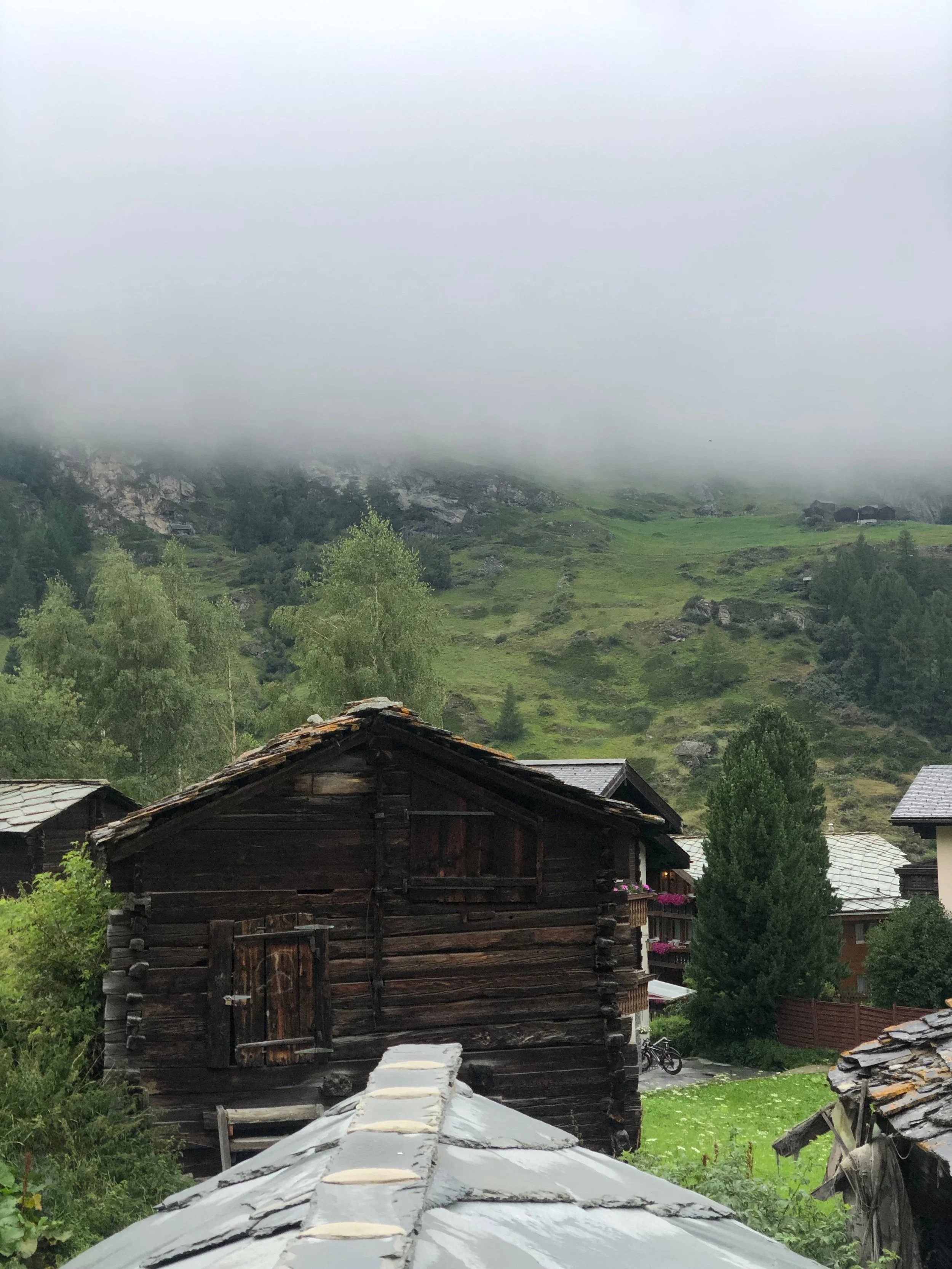 IMG_2345 2.jpeg