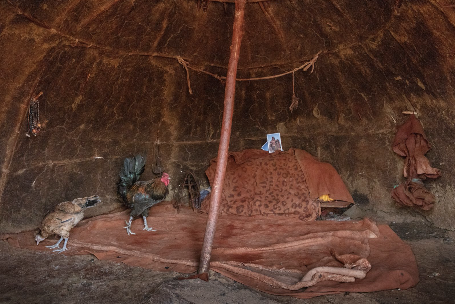 Interior of a Himba hut in northern Namibia with Claudia Uribe's portrait of the Himba women displayed inside
