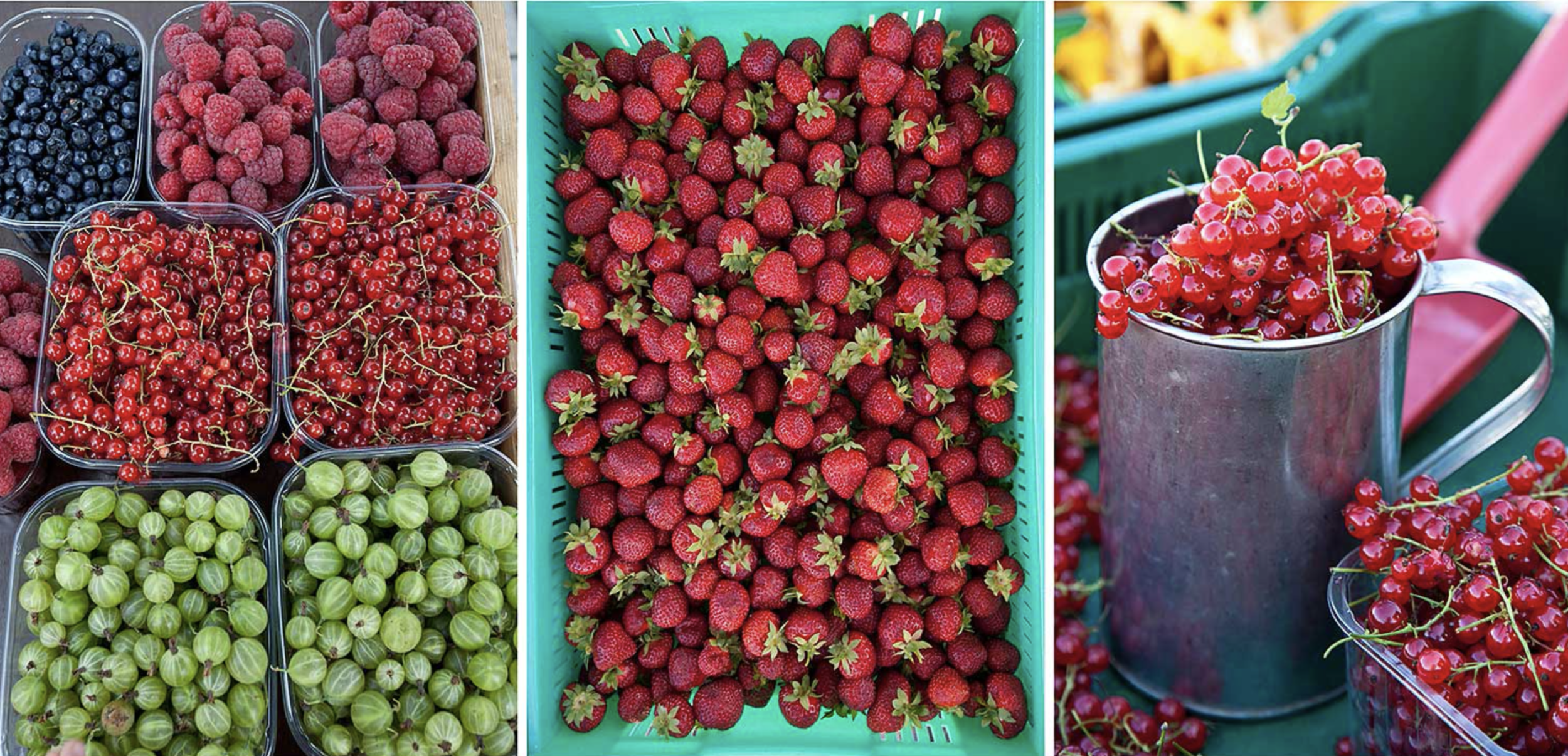 Fresh berries including blueberries, raspberries, red currants, gooseberries, and strawberries at a market stall in Helsinki, Finland
