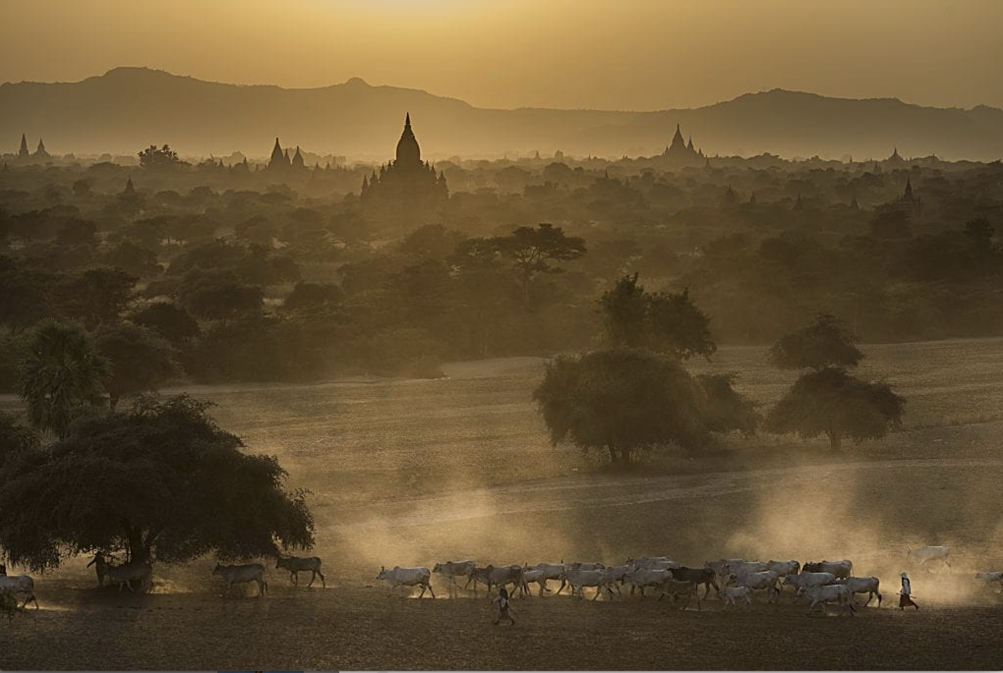 Photographer's Passport: Alessandro Moggi